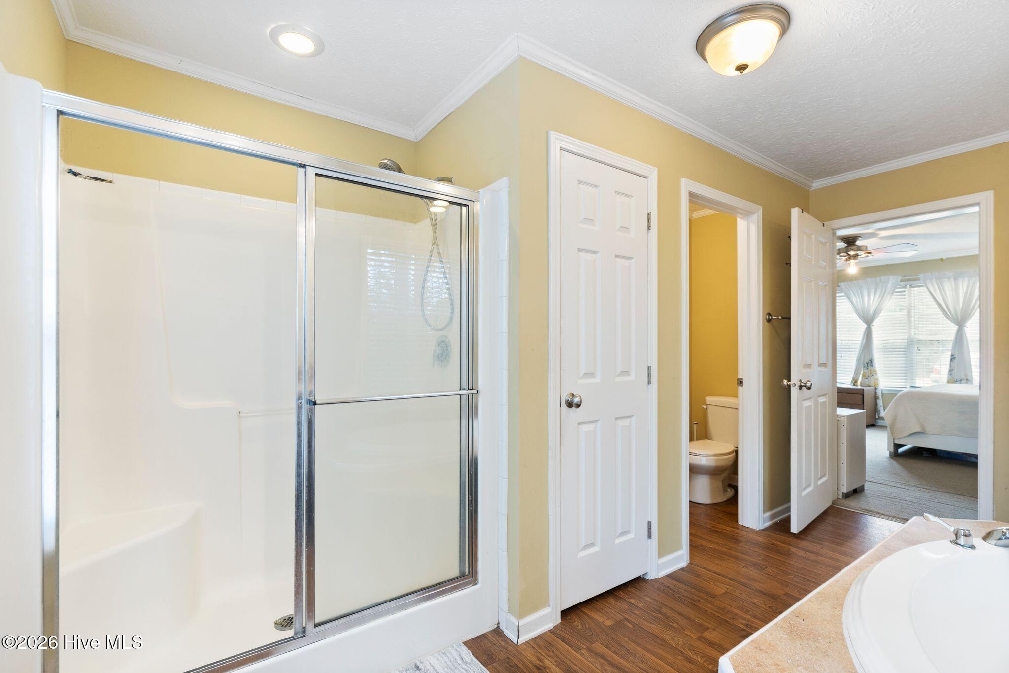 100558385 | Photo 28