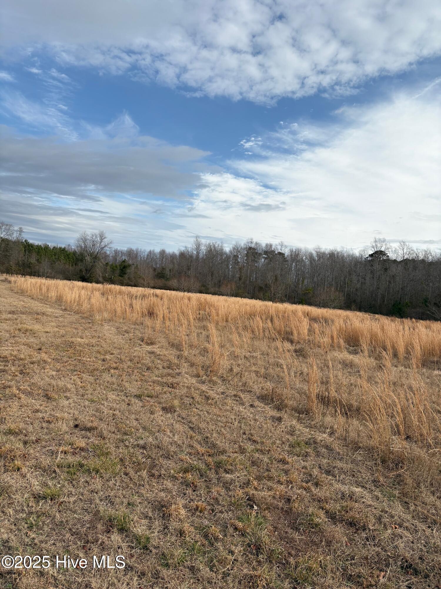 100532071 | Photo 20