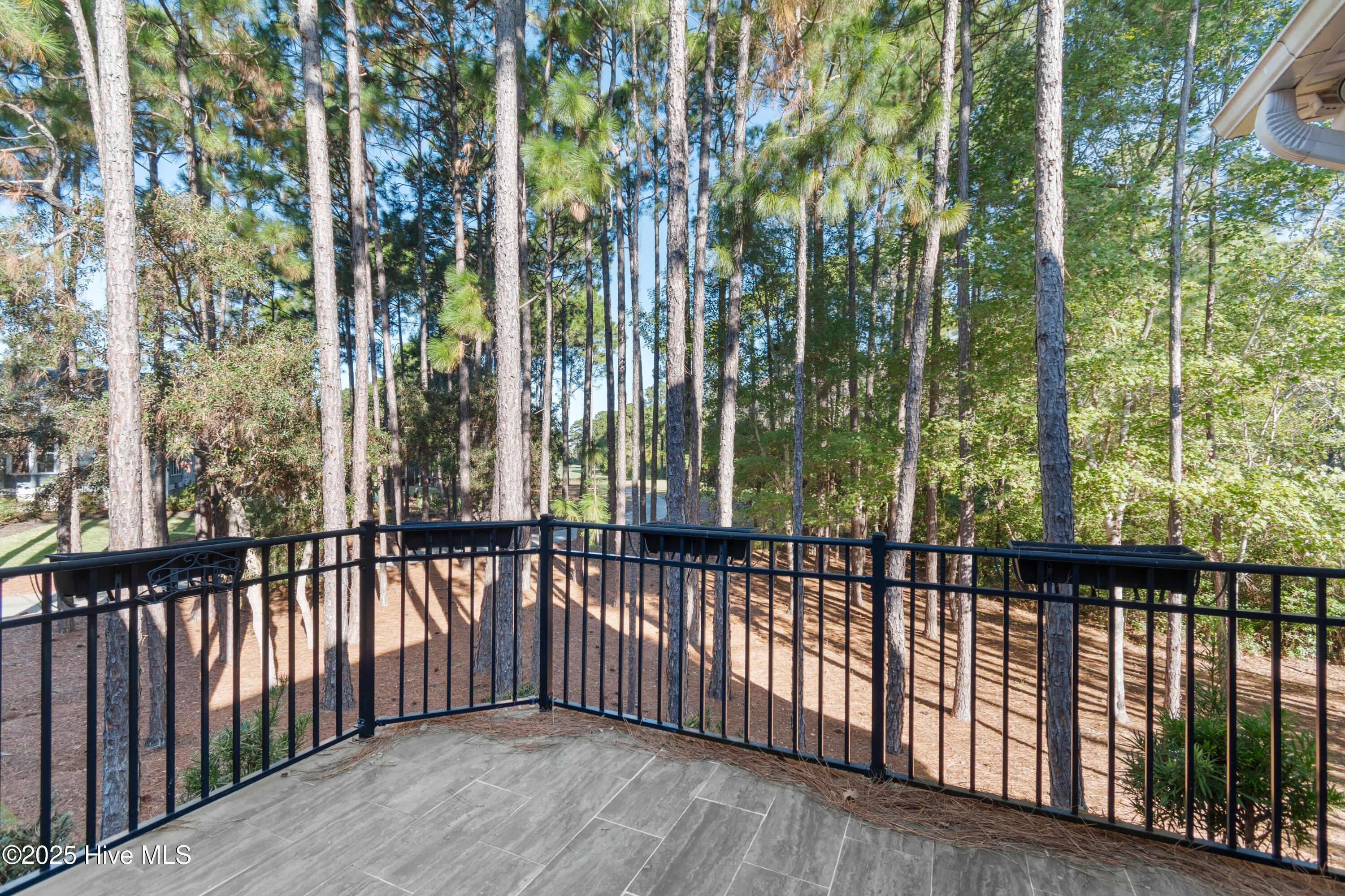 100537918 | Photo 38