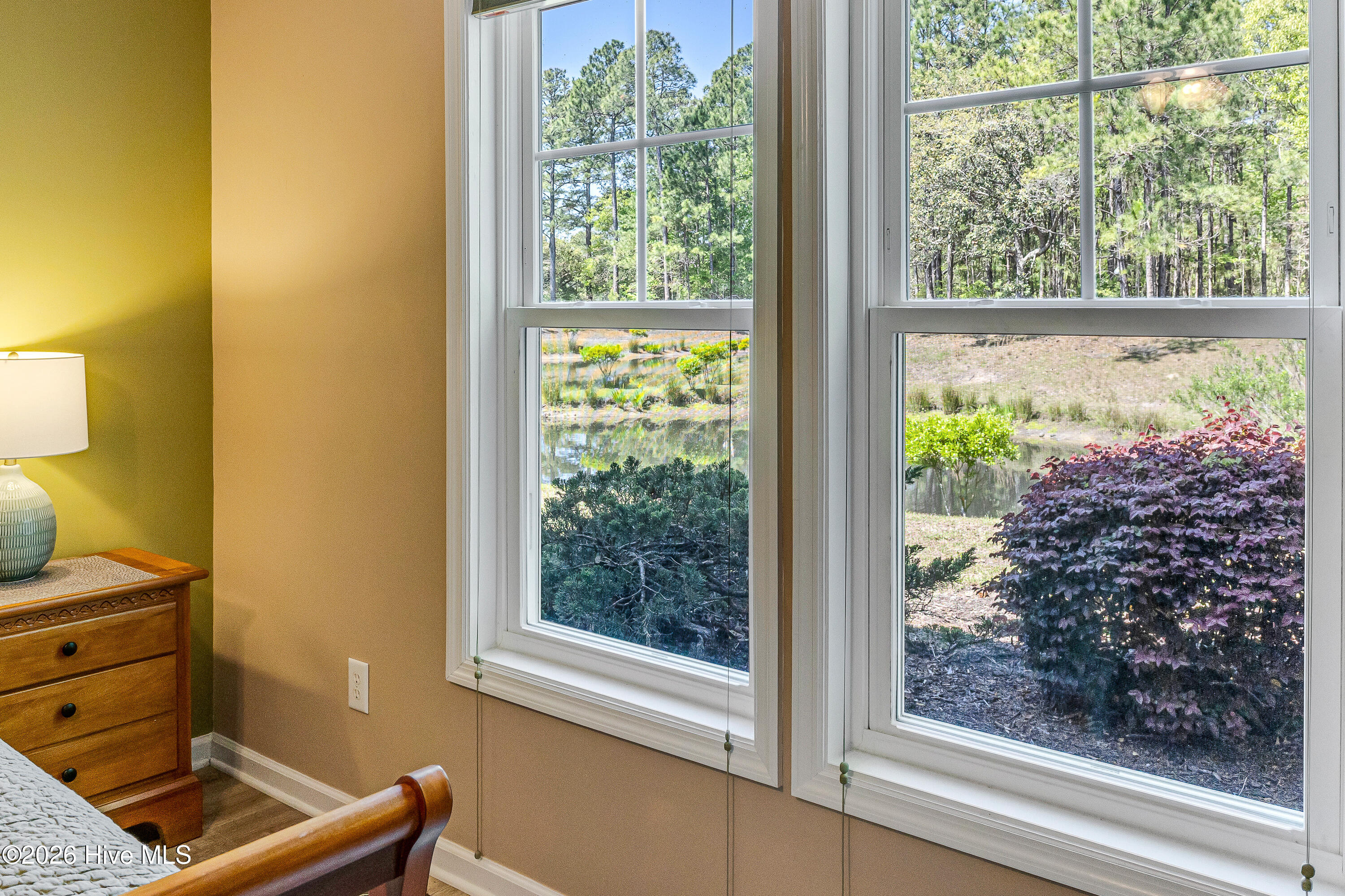 100566975 | Photo 26