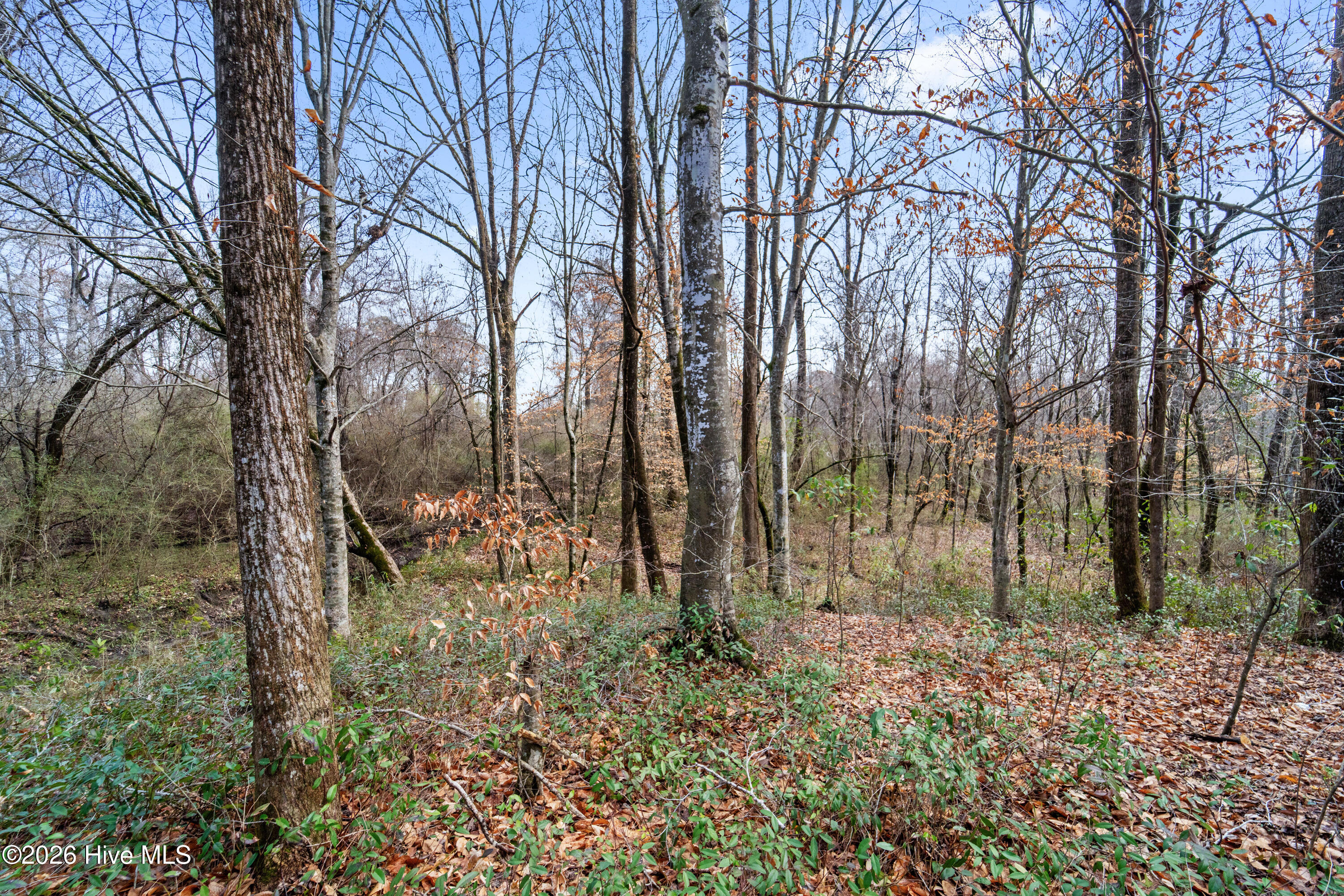 100557968 | Photo 48