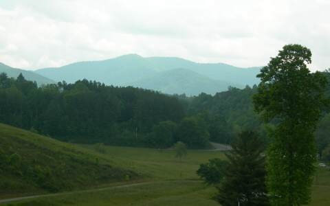 Main View
