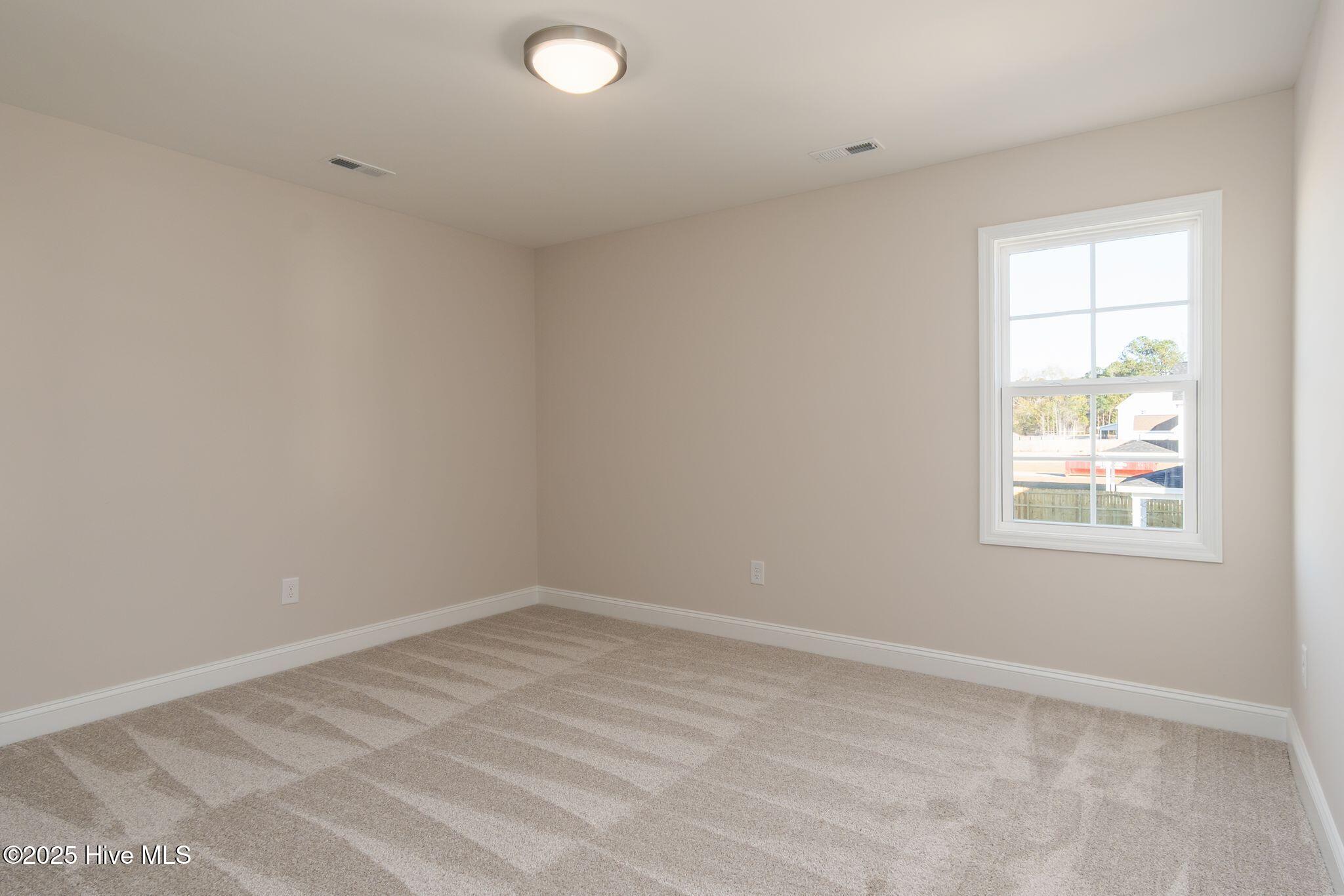 100531003 | Photo 39