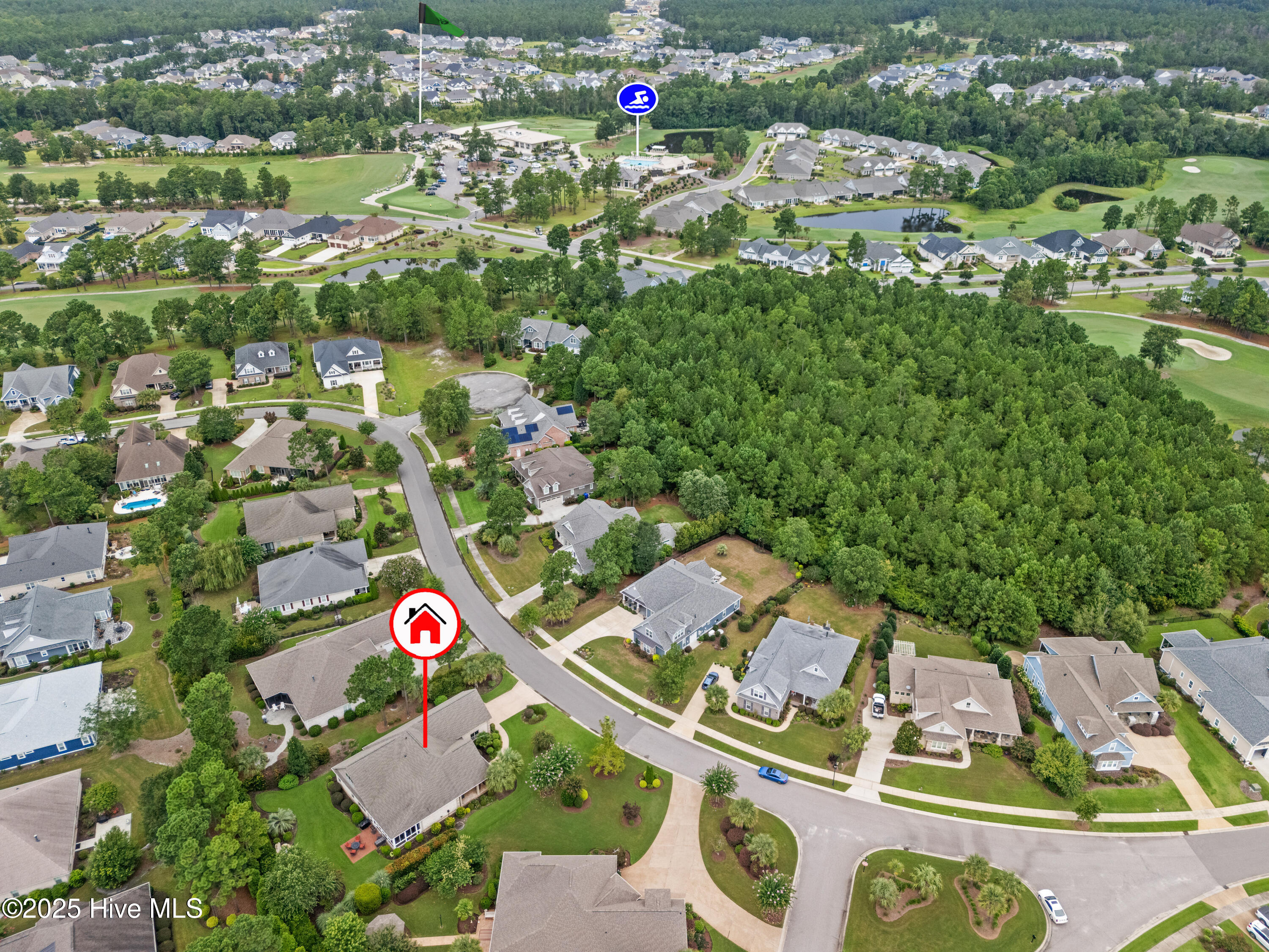 100525197 | Photo 63