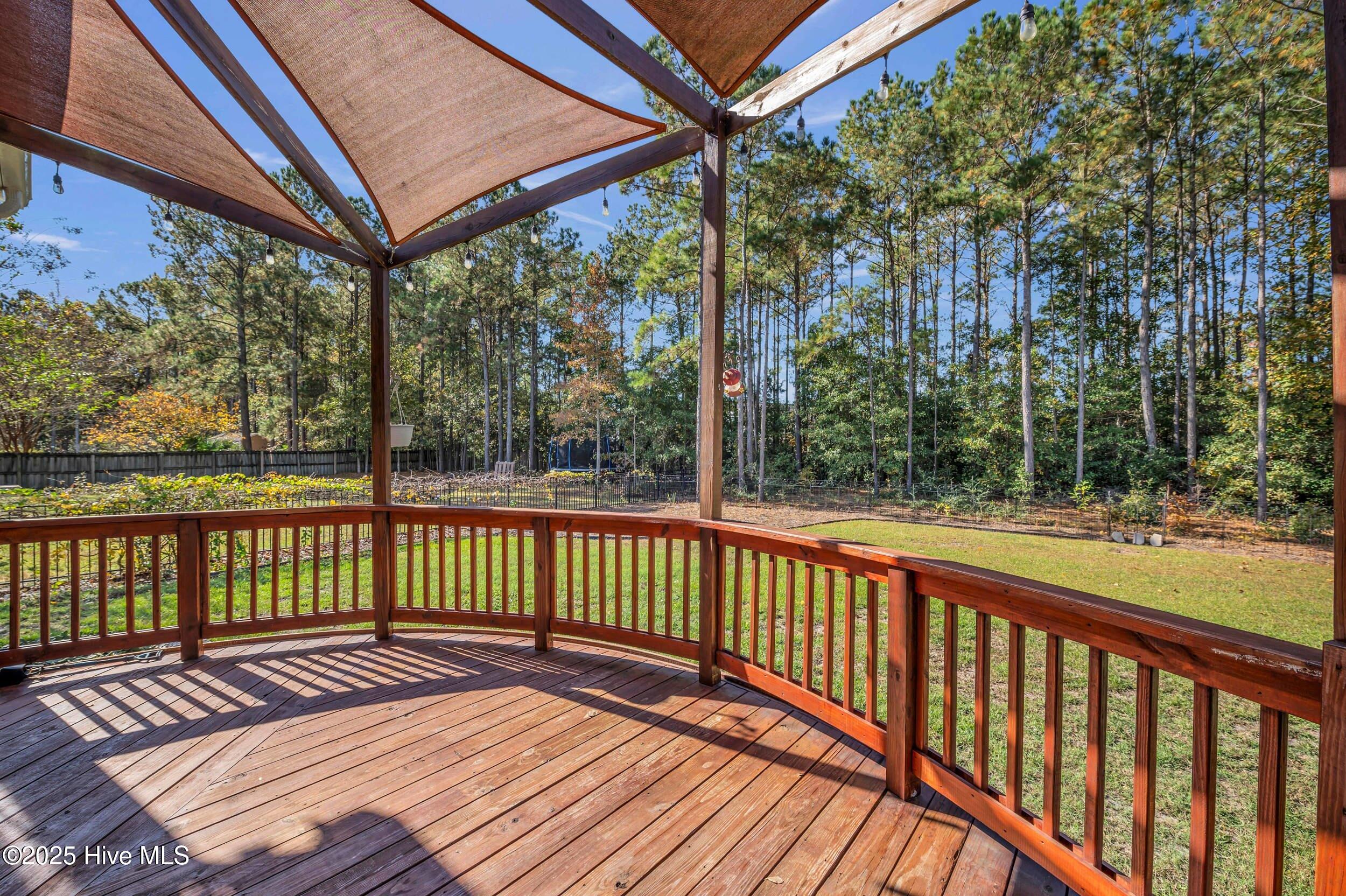 100540698 | Photo 45