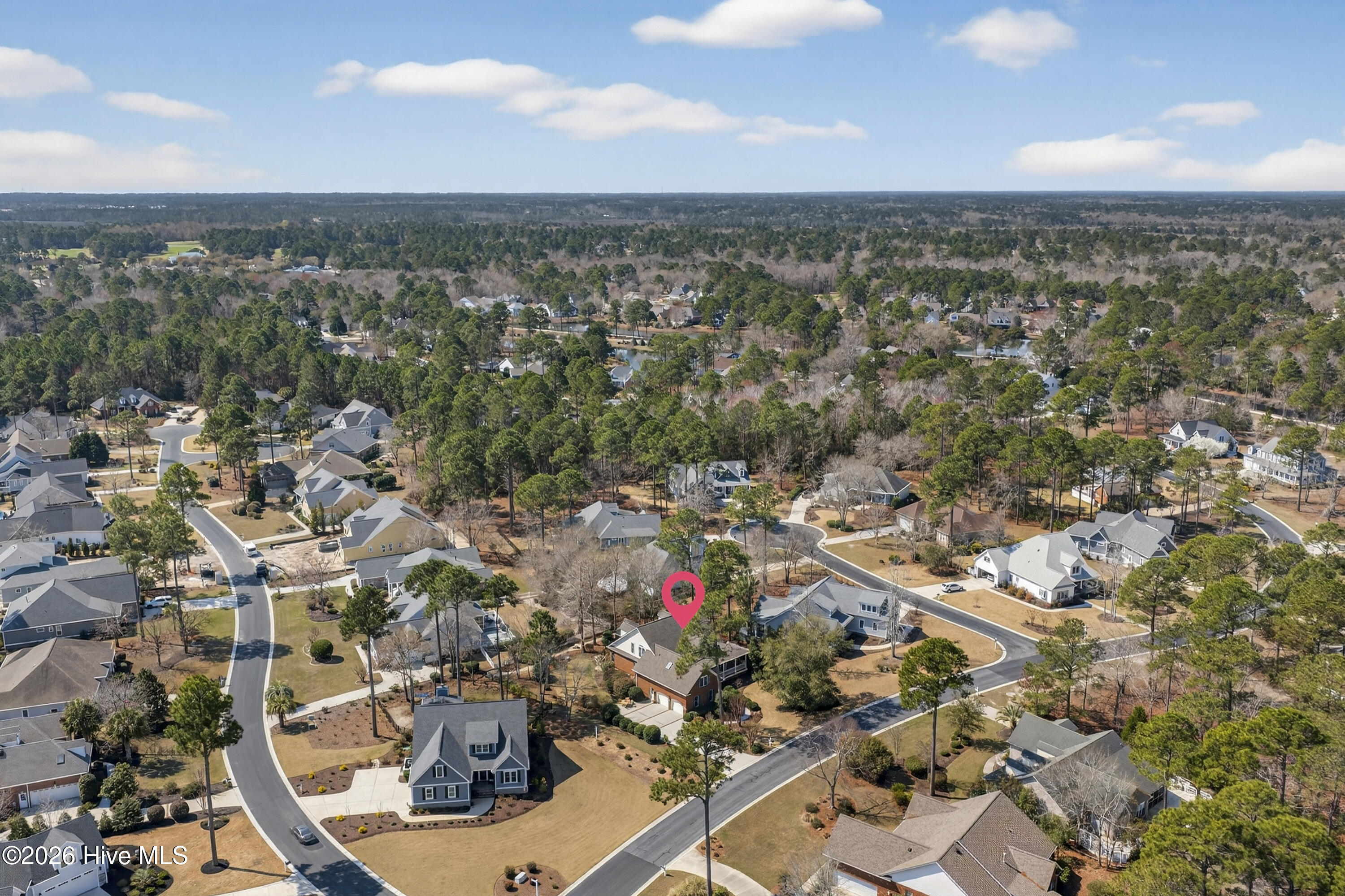 100561189 | Photo 74