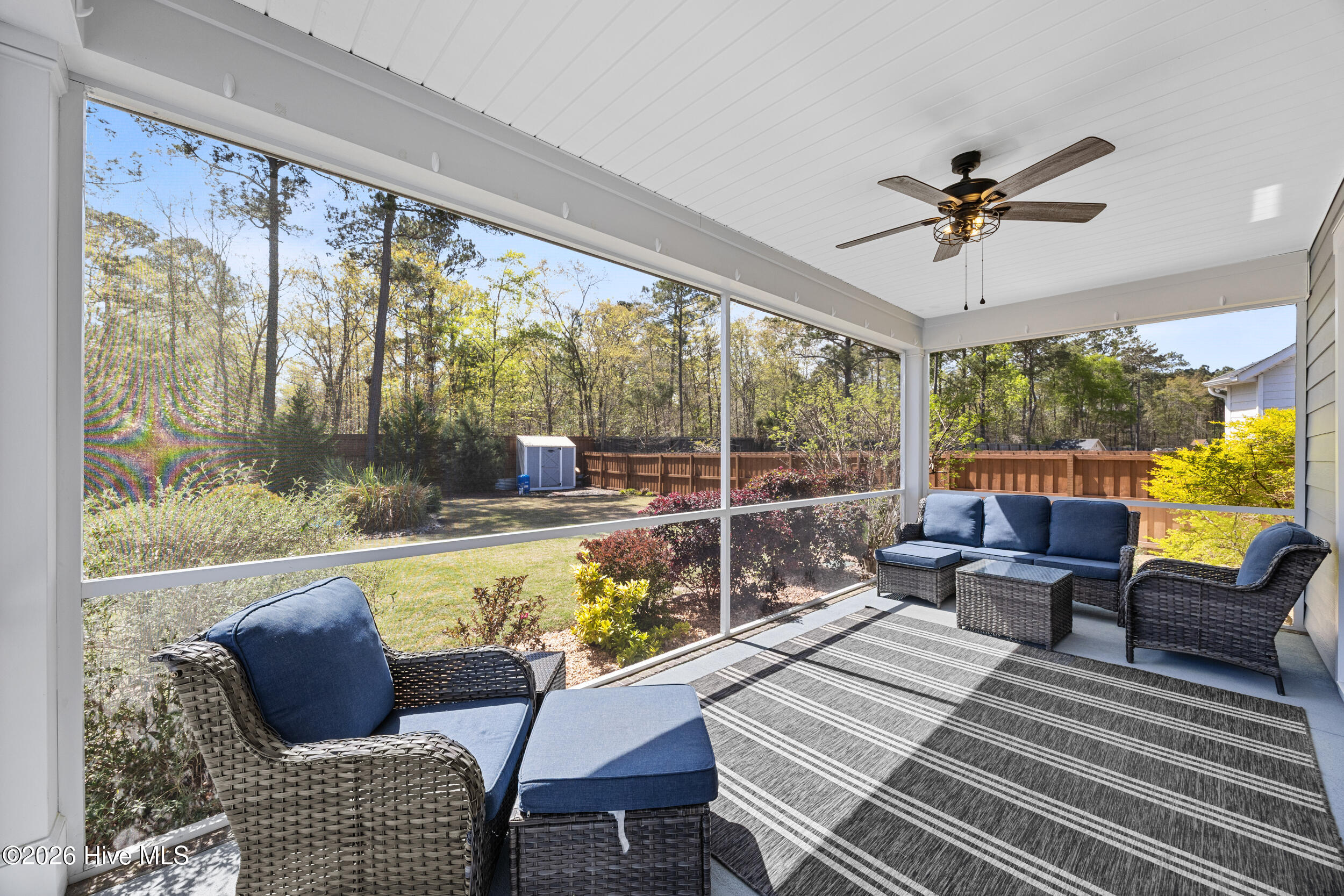 100564447 | Photo 40