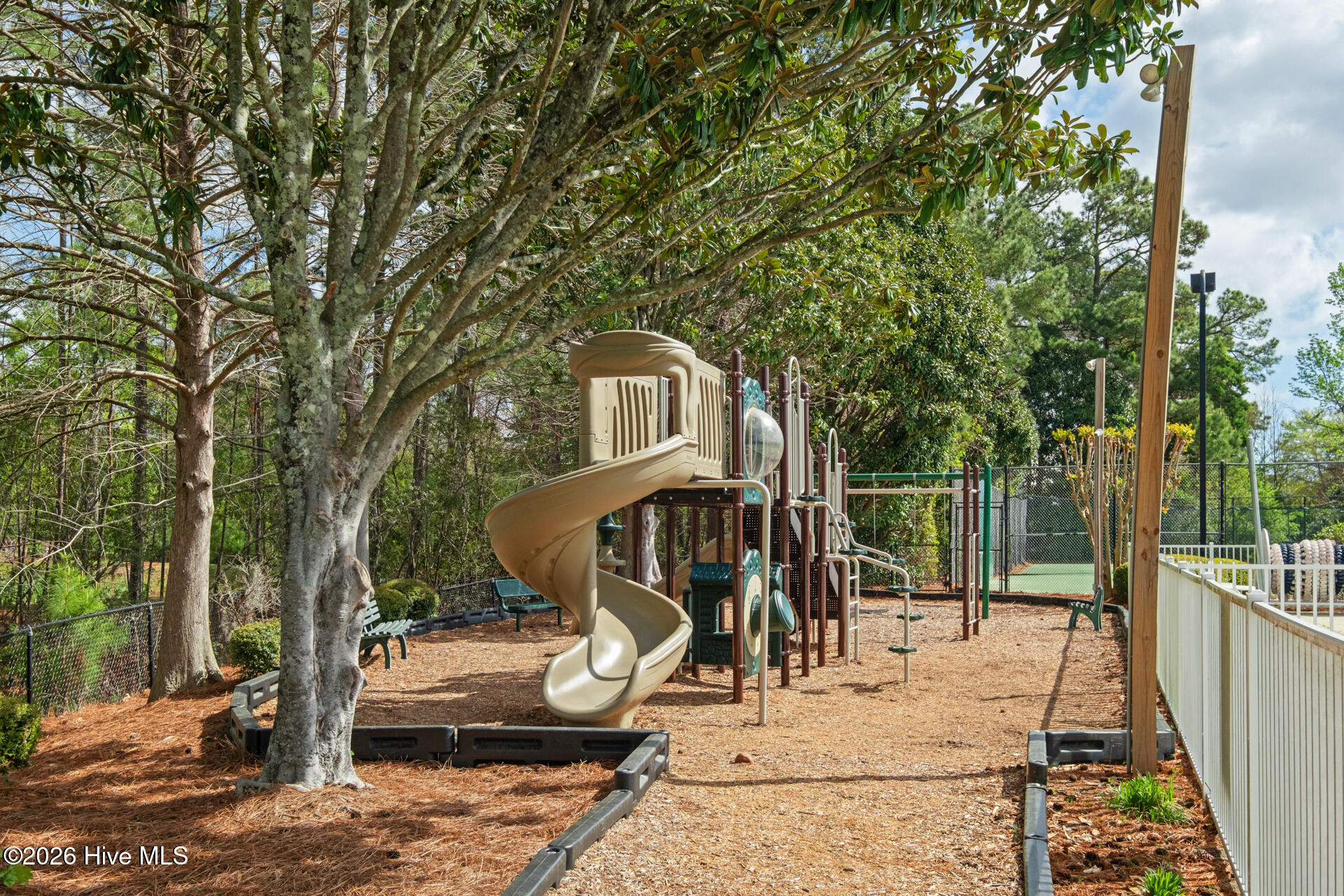 100564524 | Photo 65