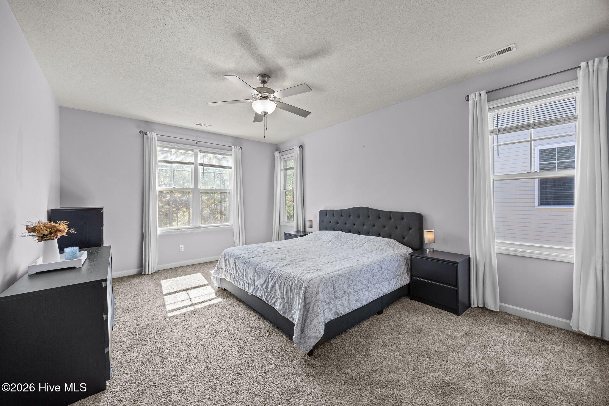 100556762 | Photo 19