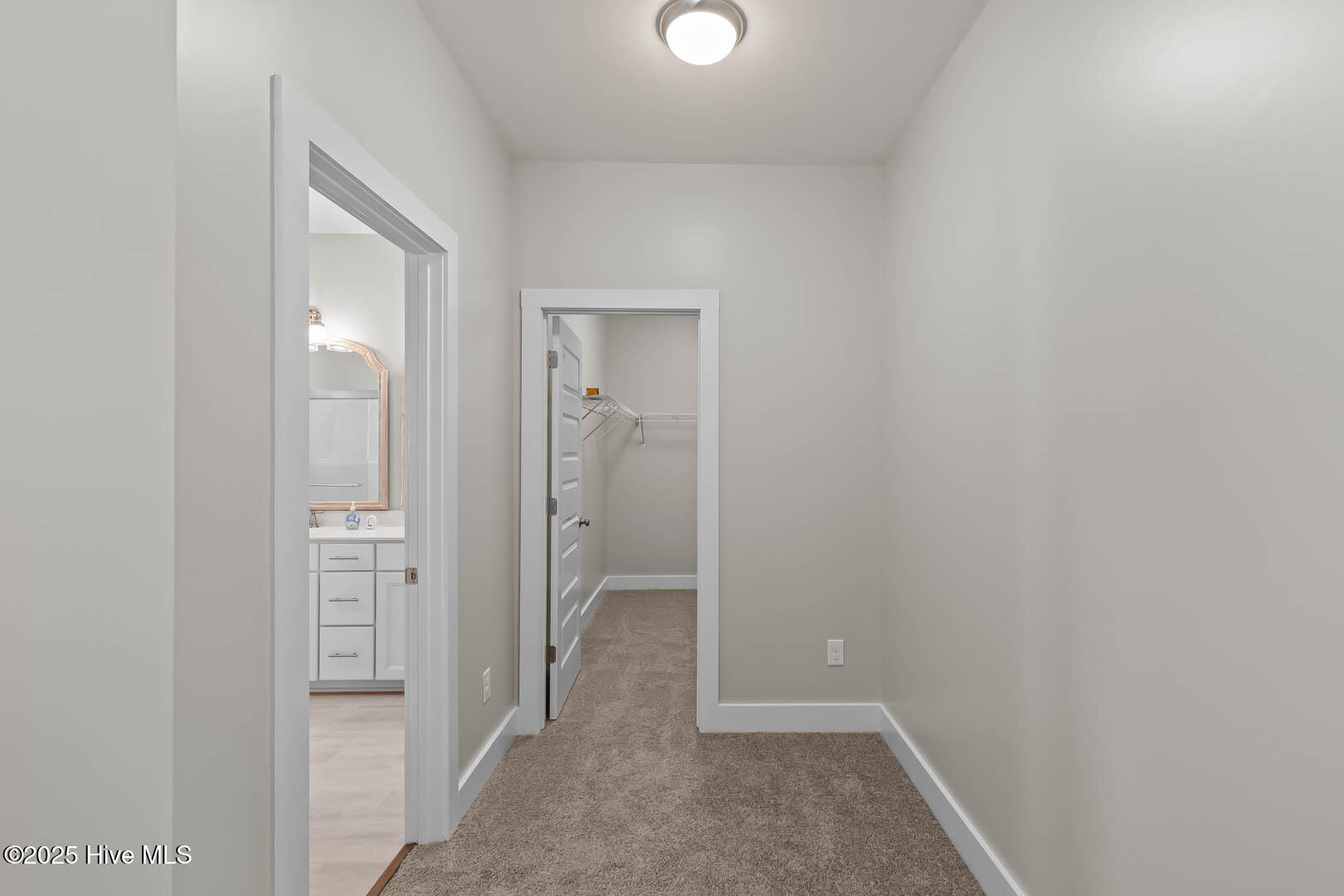 100535399 | Photo 26