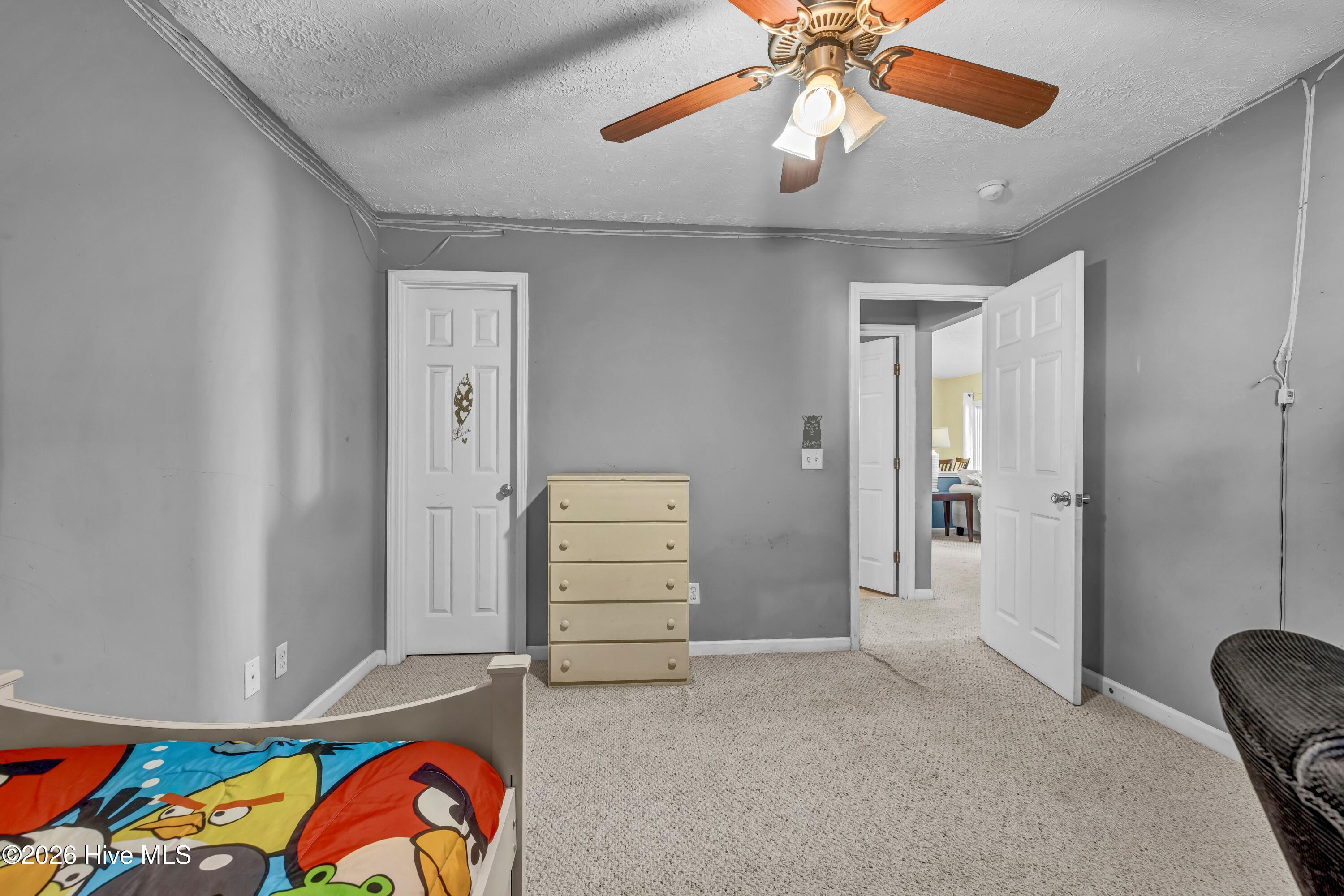 100554919 | Photo 18