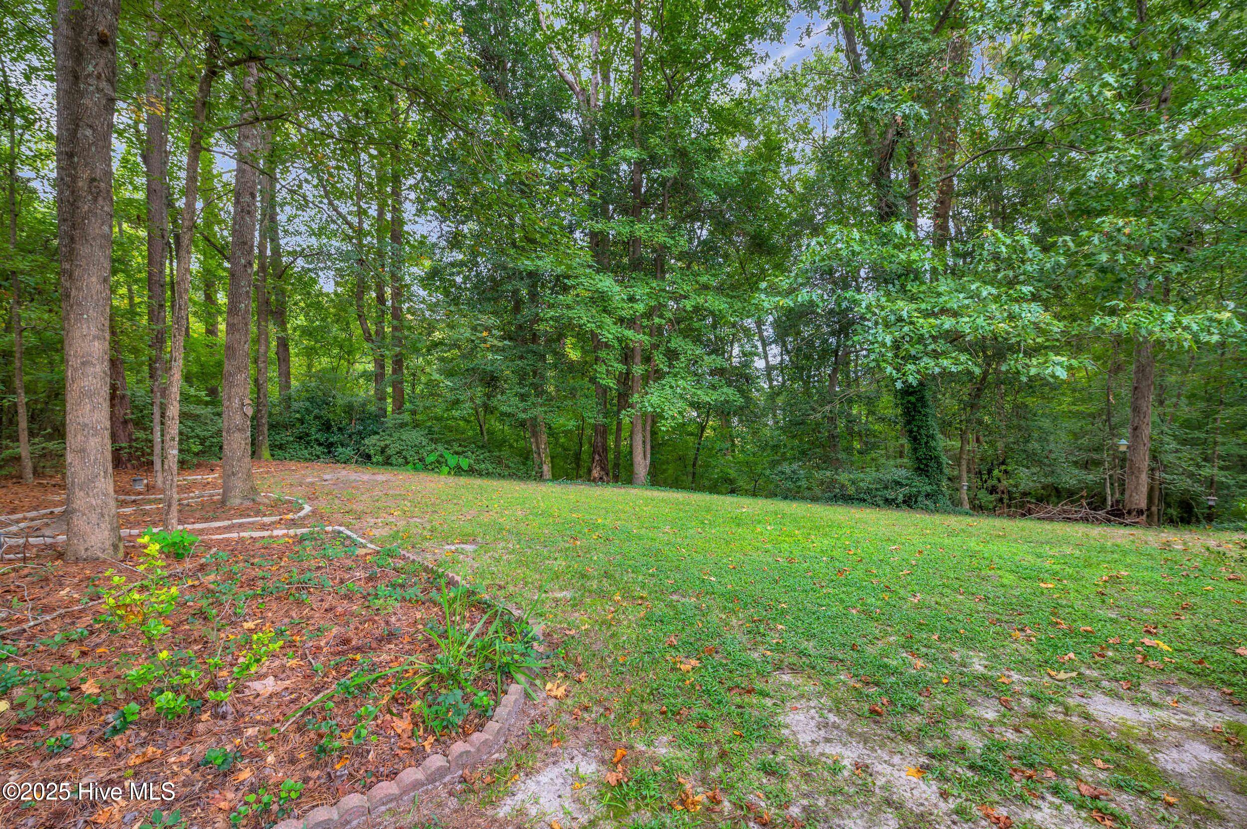 100531306 | Photo 17