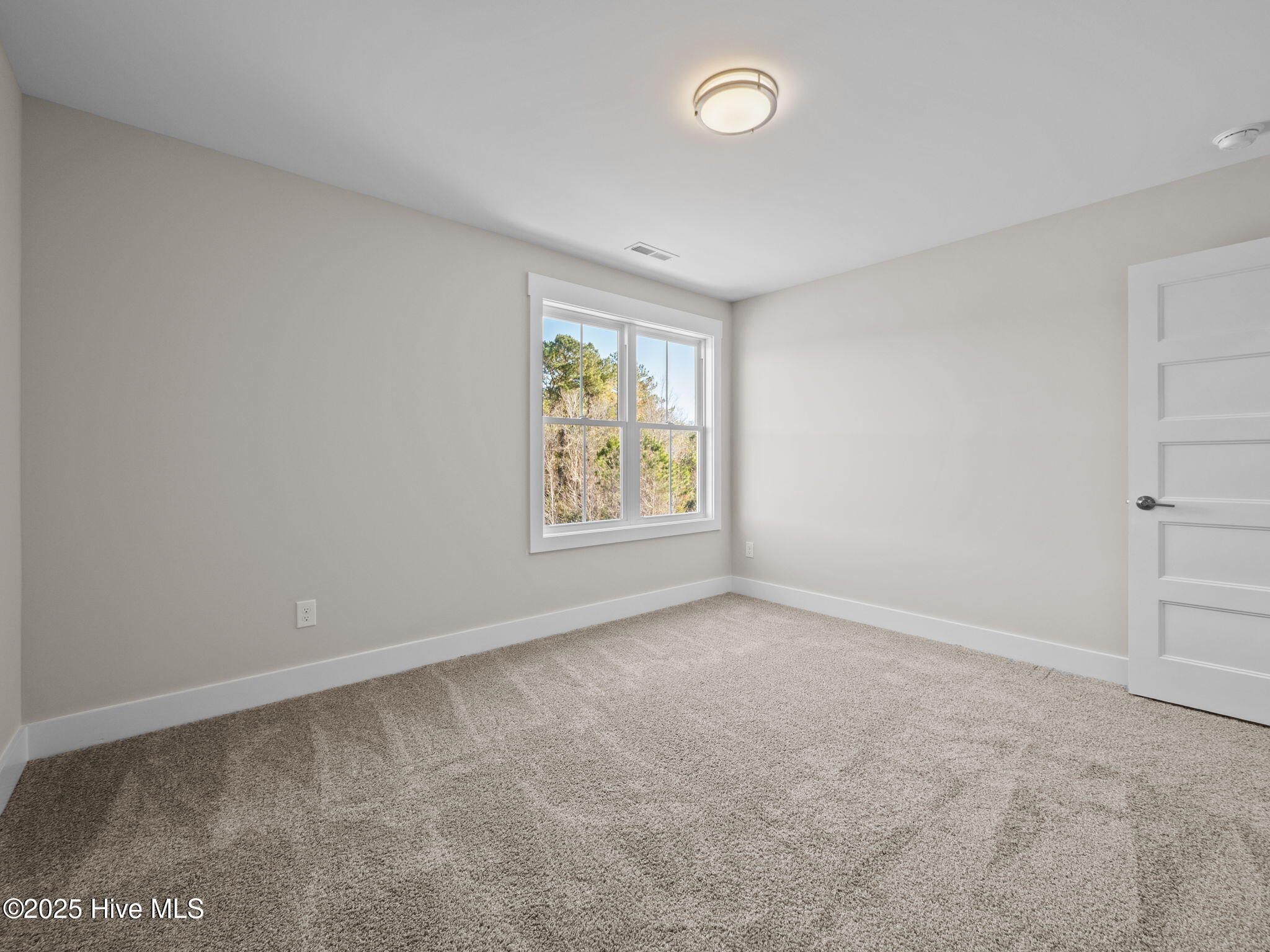 100520397 | Photo 32