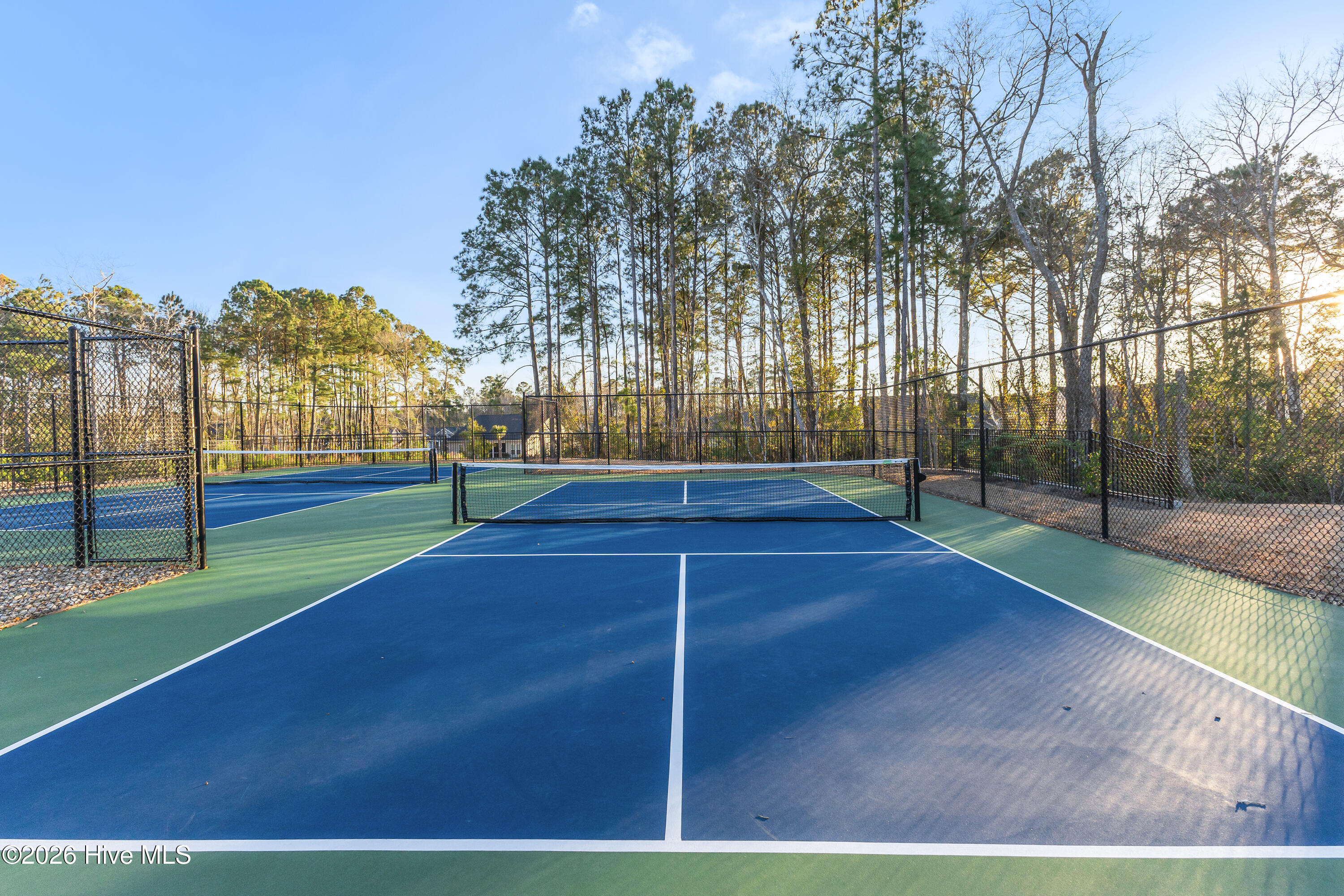 100561168 | Photo 35