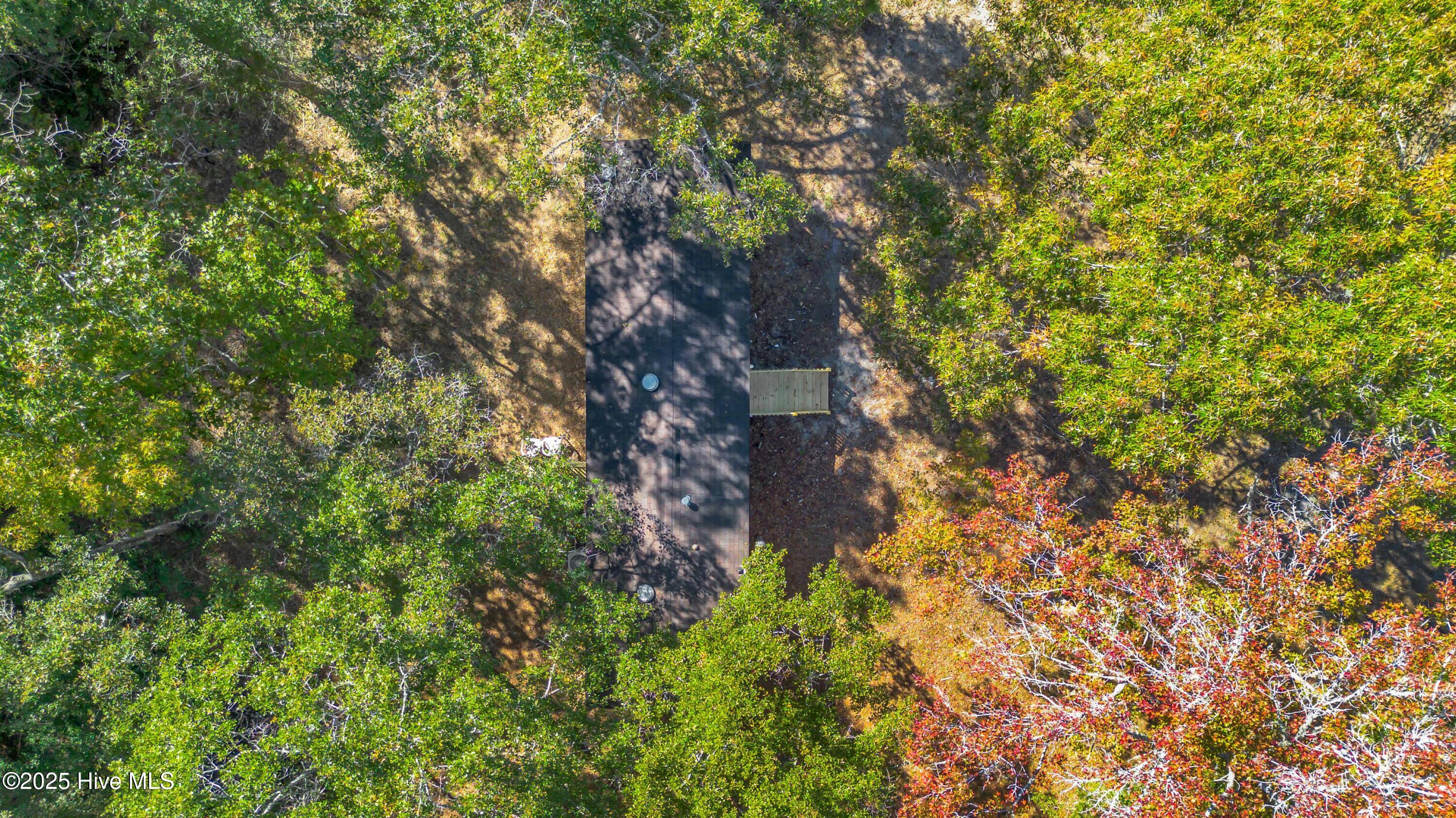 100539663 | Photo 33