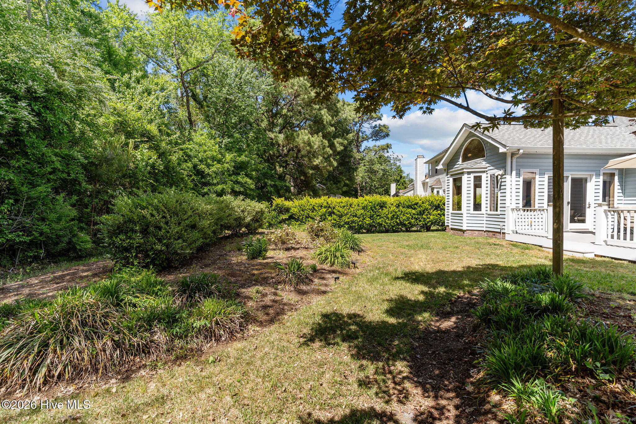 100568995 | Photo 43