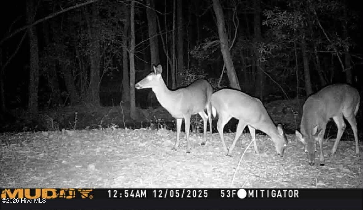 100570604 | Photo 45