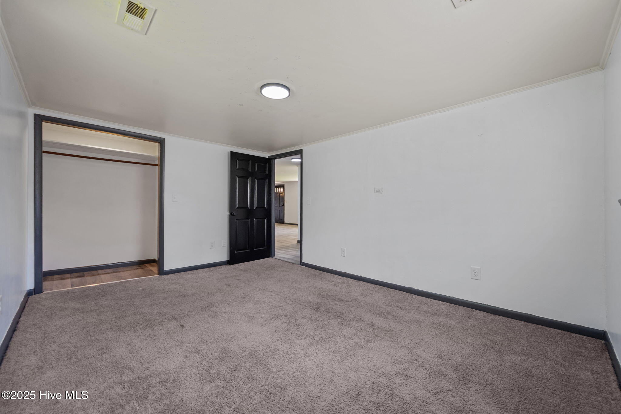 100534081 | Photo 22