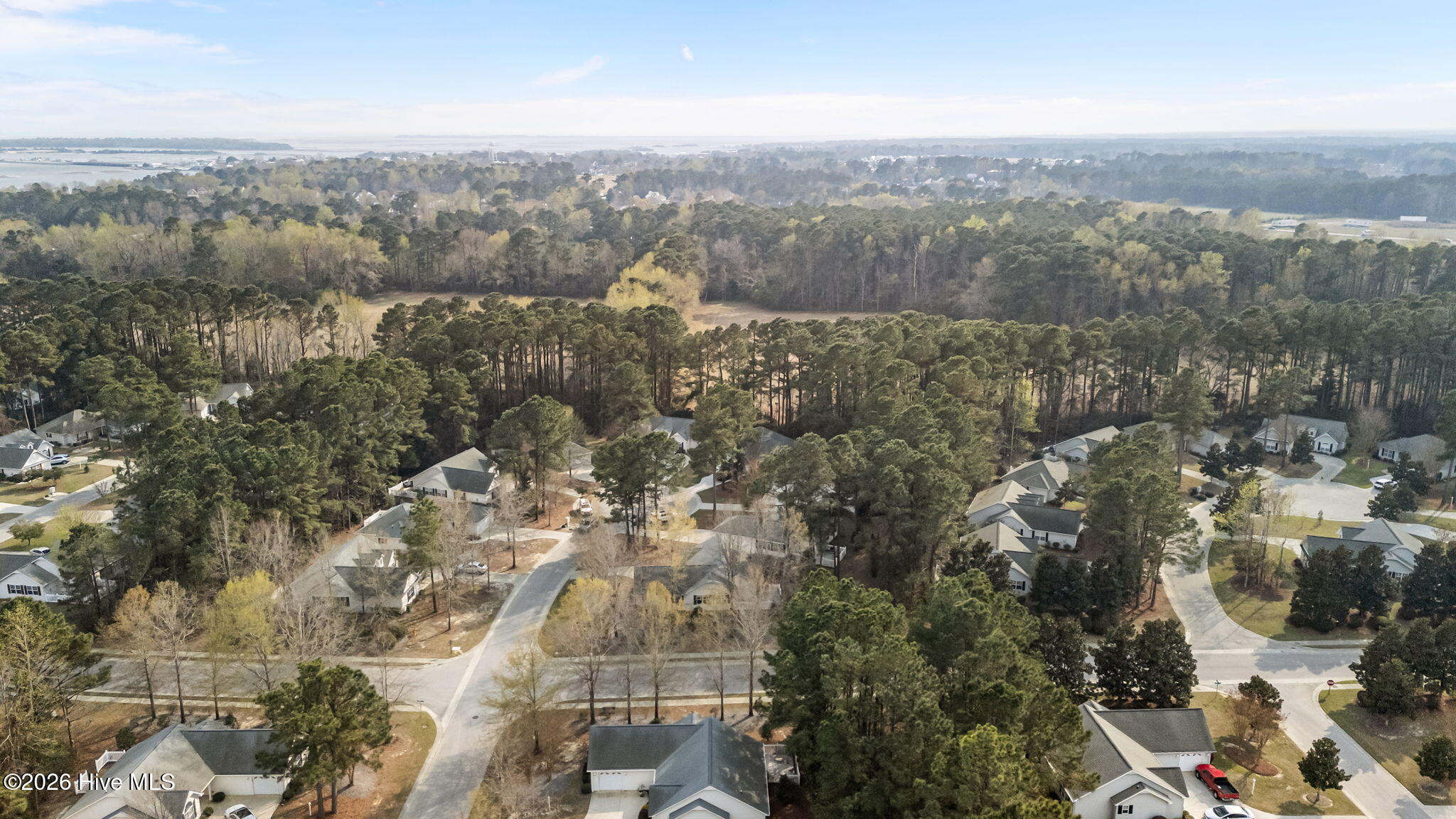 100563135 | Photo 42