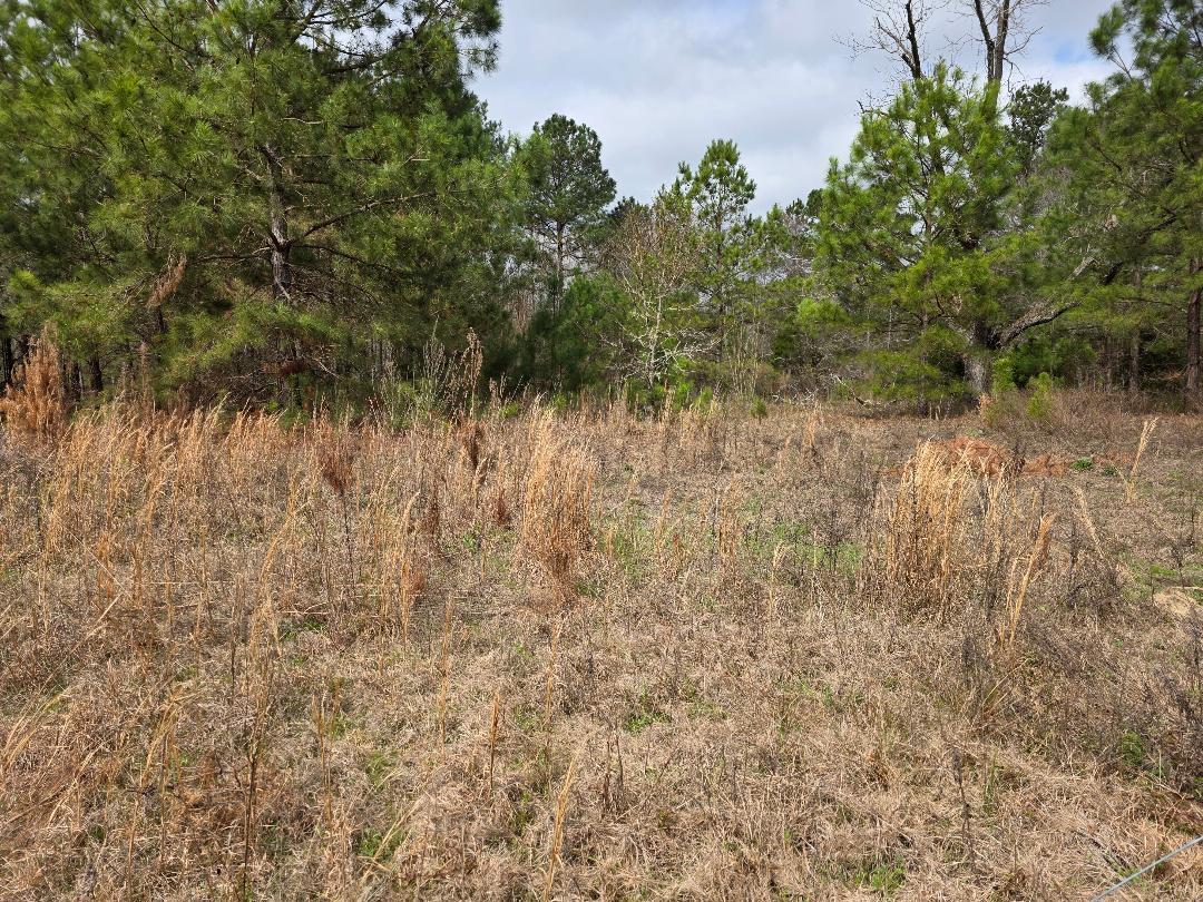 Homes for sale in Sardis, GA | 1880 Alexander  Munnerlyn Rd, Sardis, GA 30456 | MLS# 552914