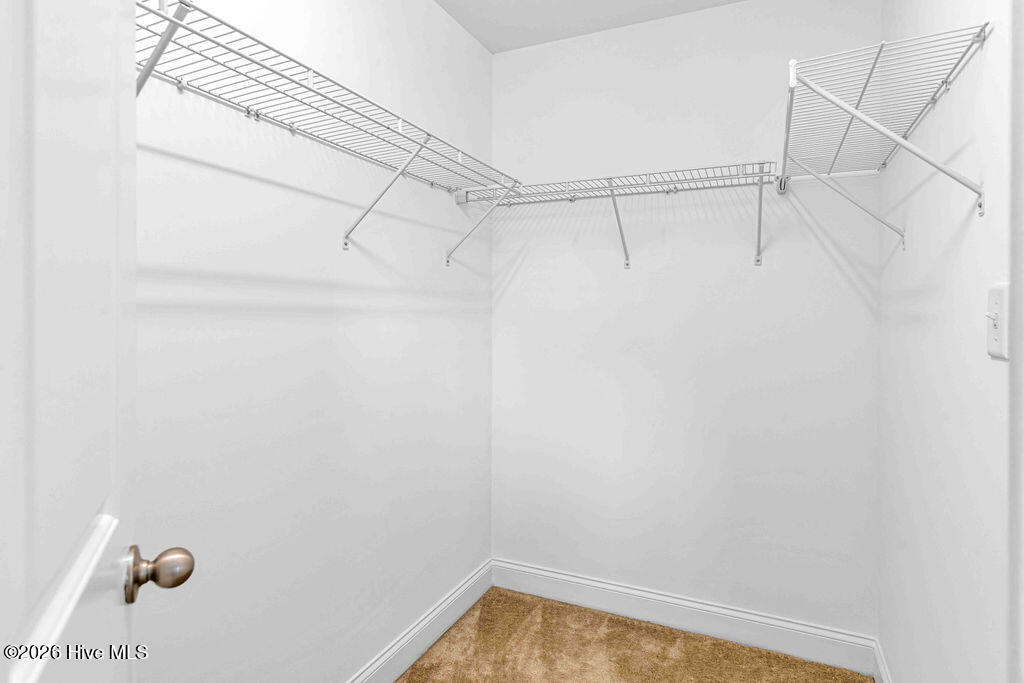 100566446 | Photo 46