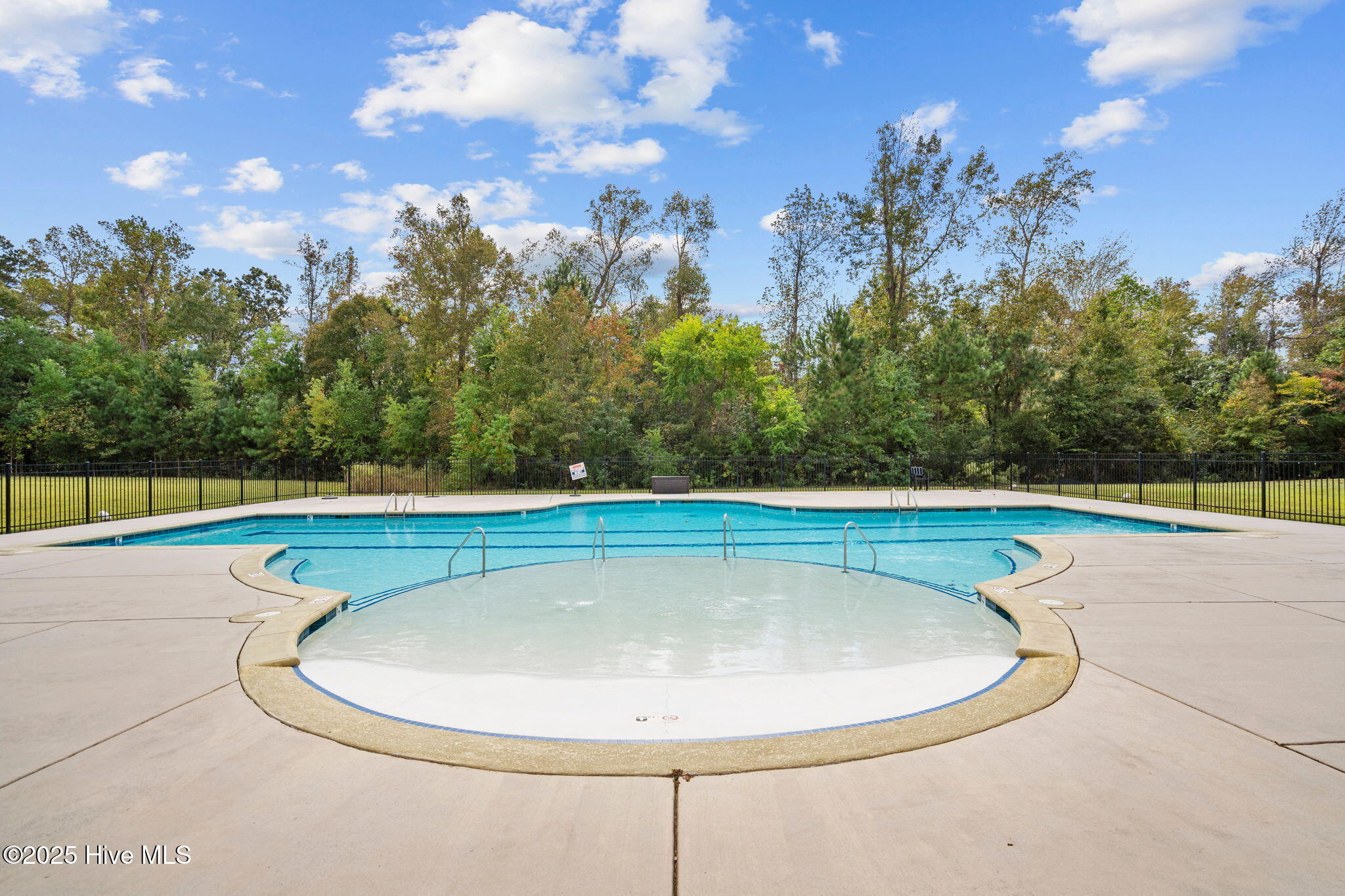 100518036 | Photo 43