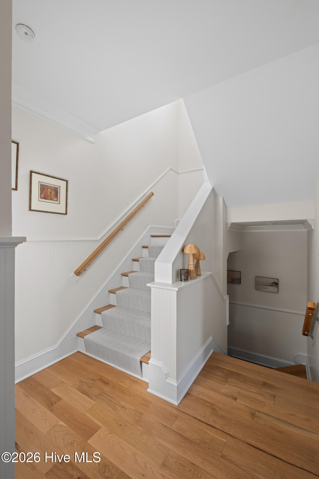 100567565 | Photo 28