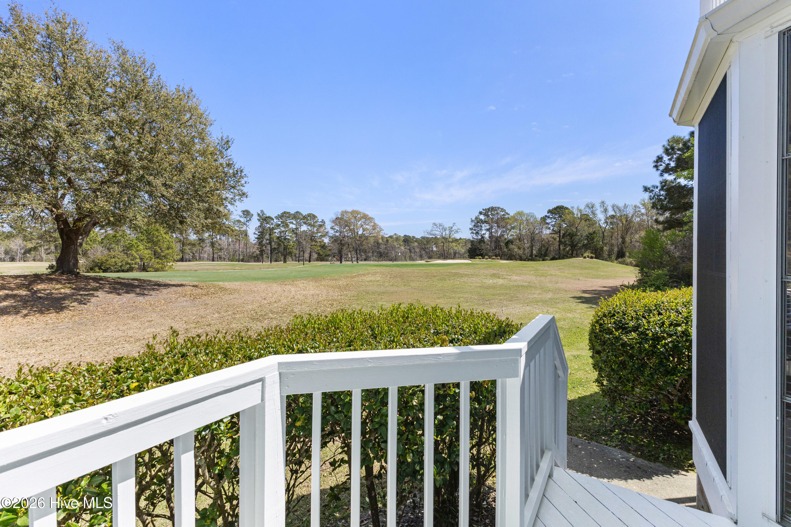 100562727 | Photo 25