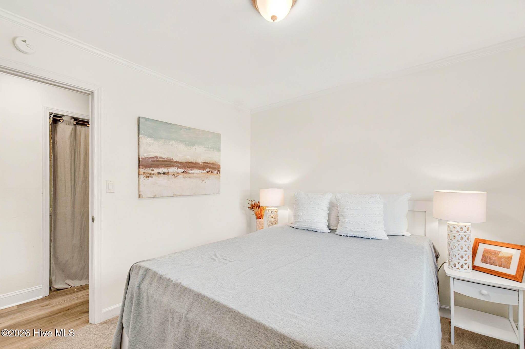 100556049 | Photo 43