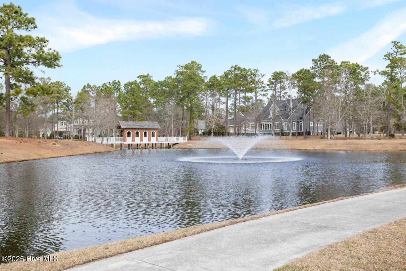 100547081 | Photo 59