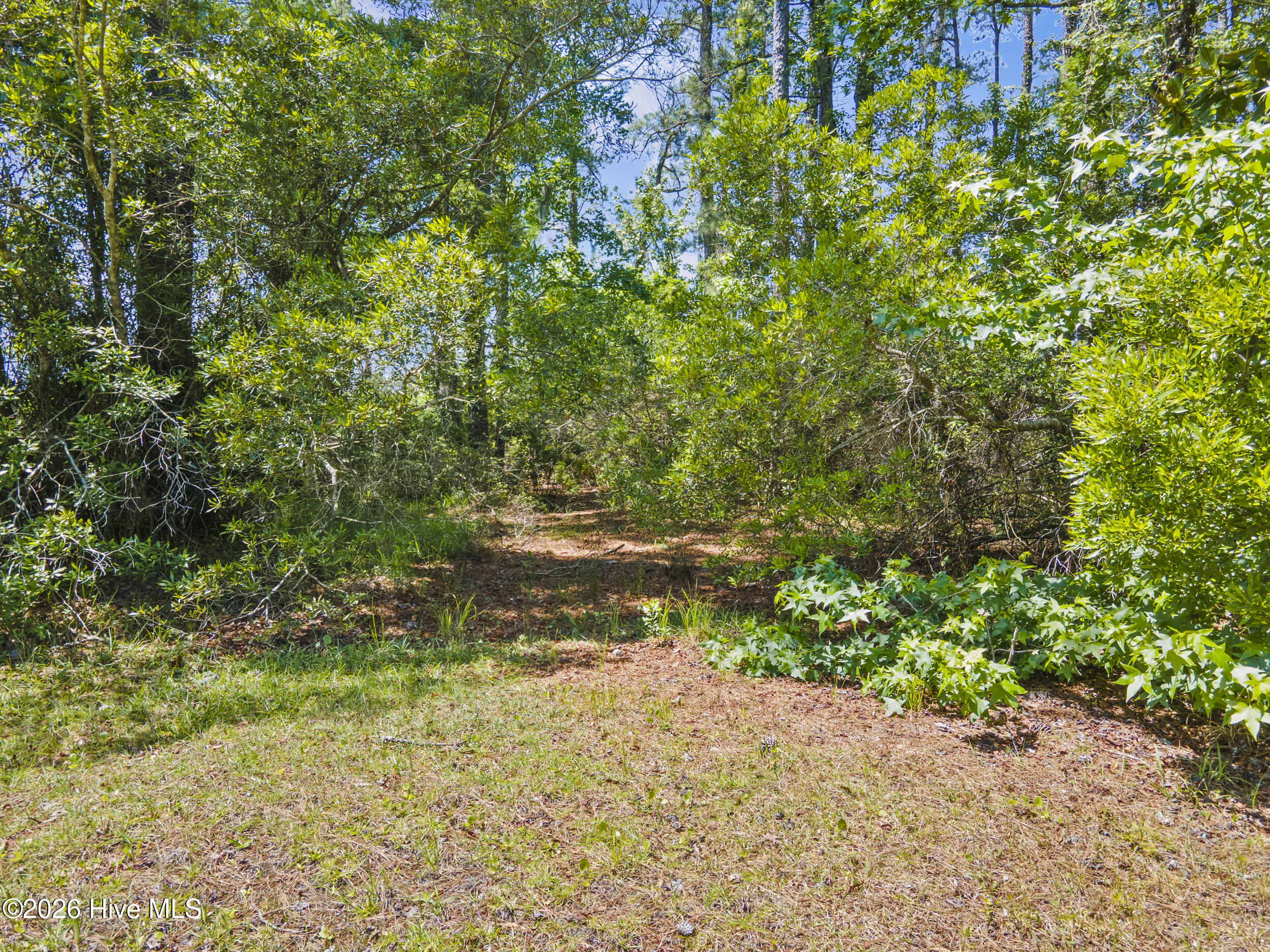5202 Bucco Reef Road,New Bern