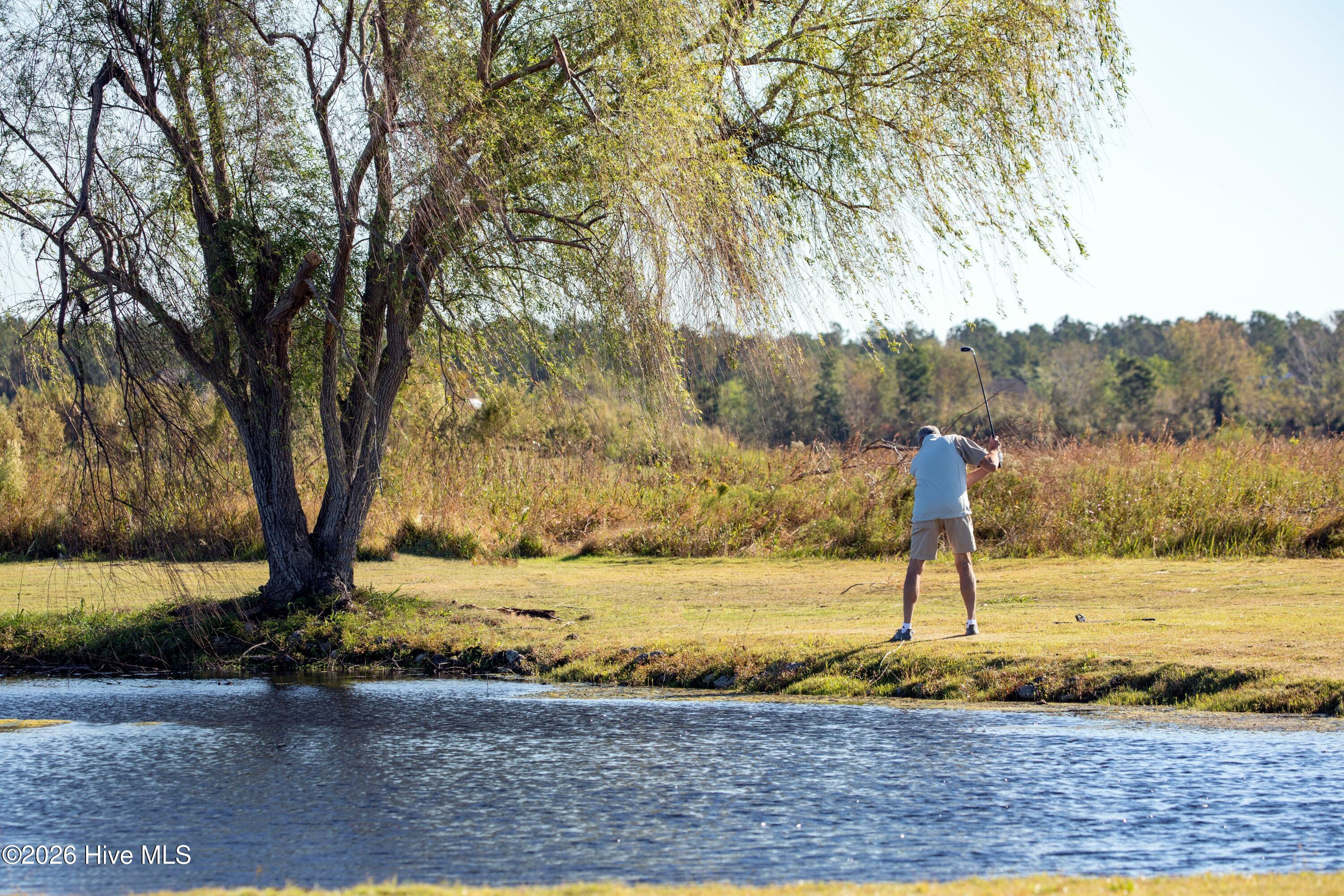 100567268 | Photo 61