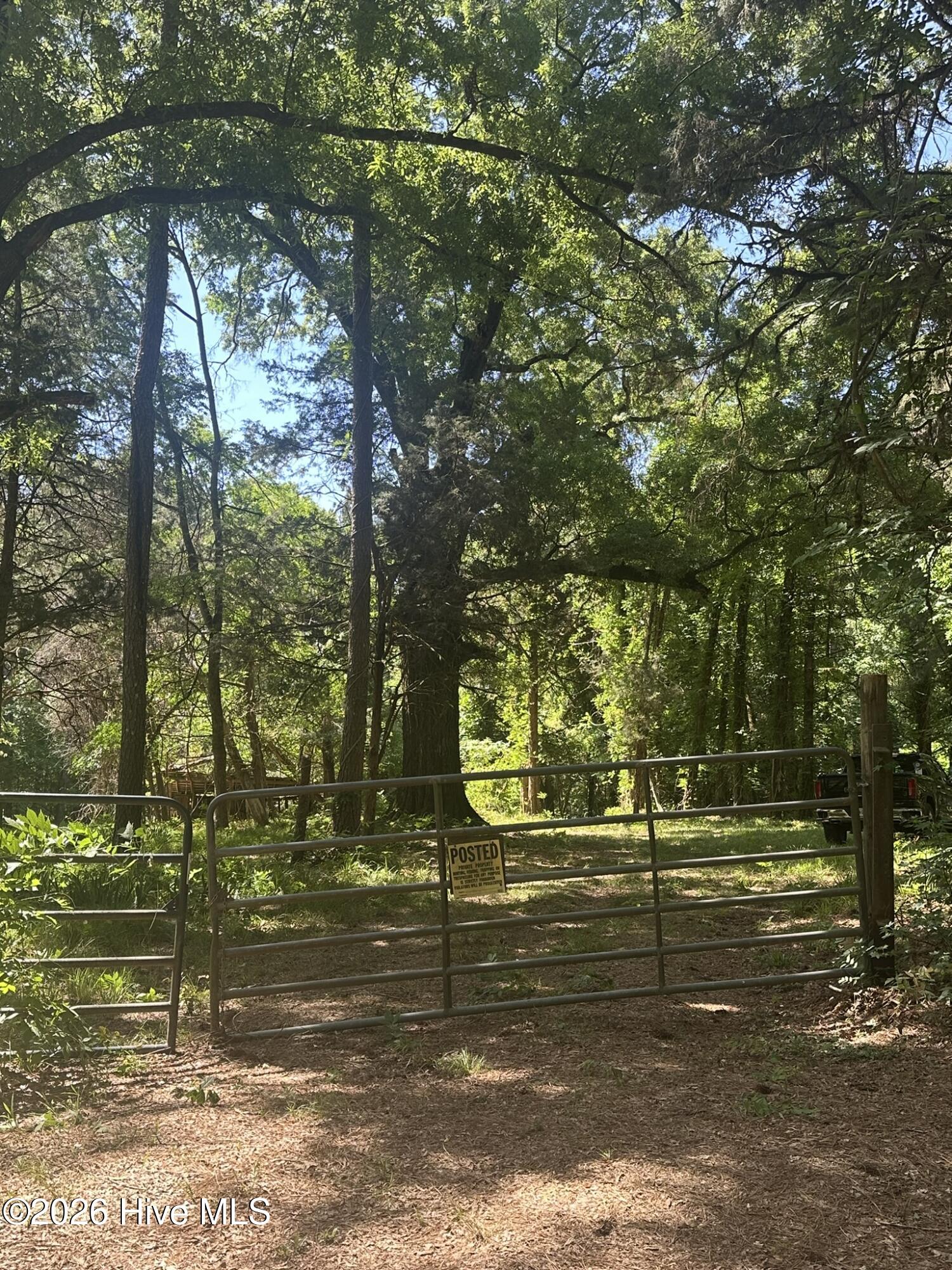 Homes for sale in Washington, GA | Lot 4 Saggus Rd, Washington, GA 30673 | MLS# 100573053