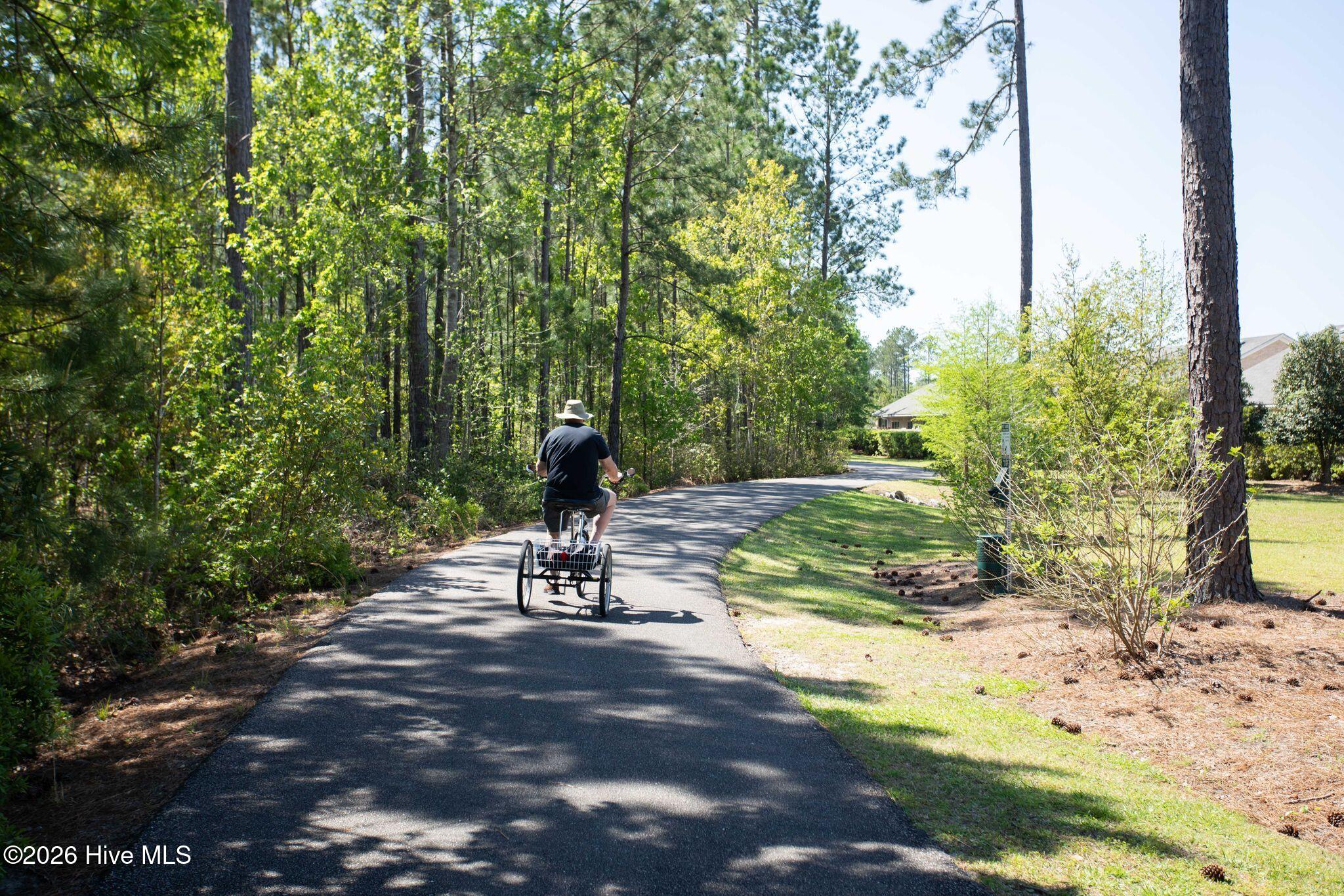 100570513 | Photo 60