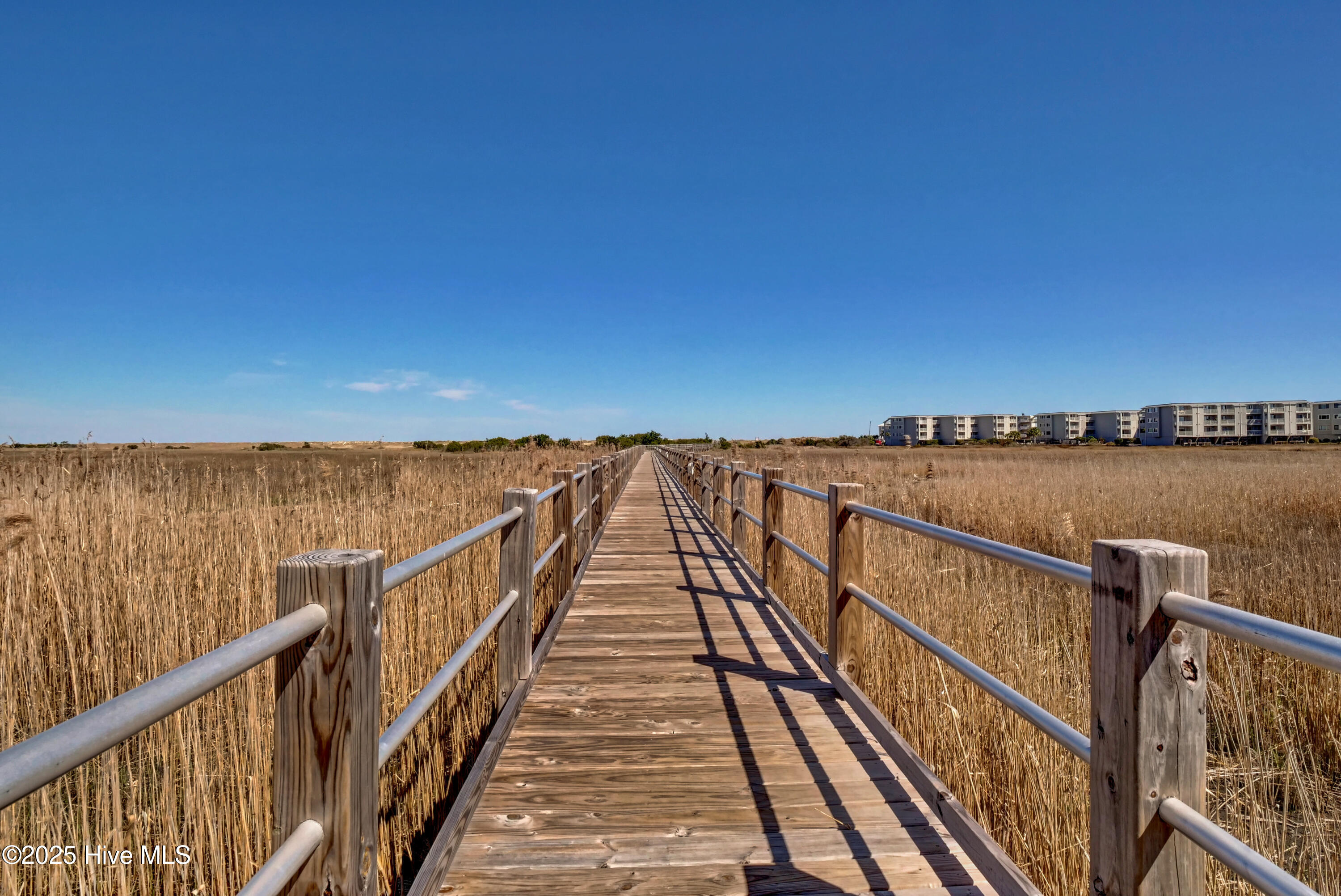 100516907 | Photo 49