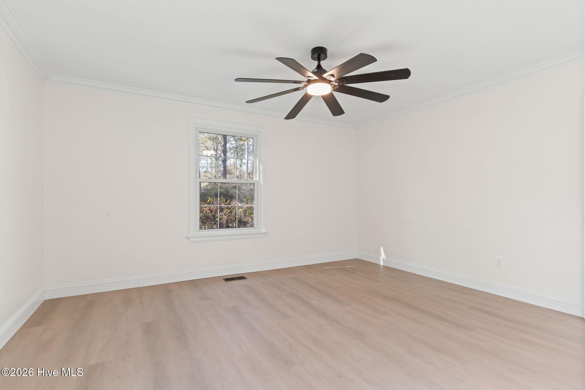 100548429 | Photo 20