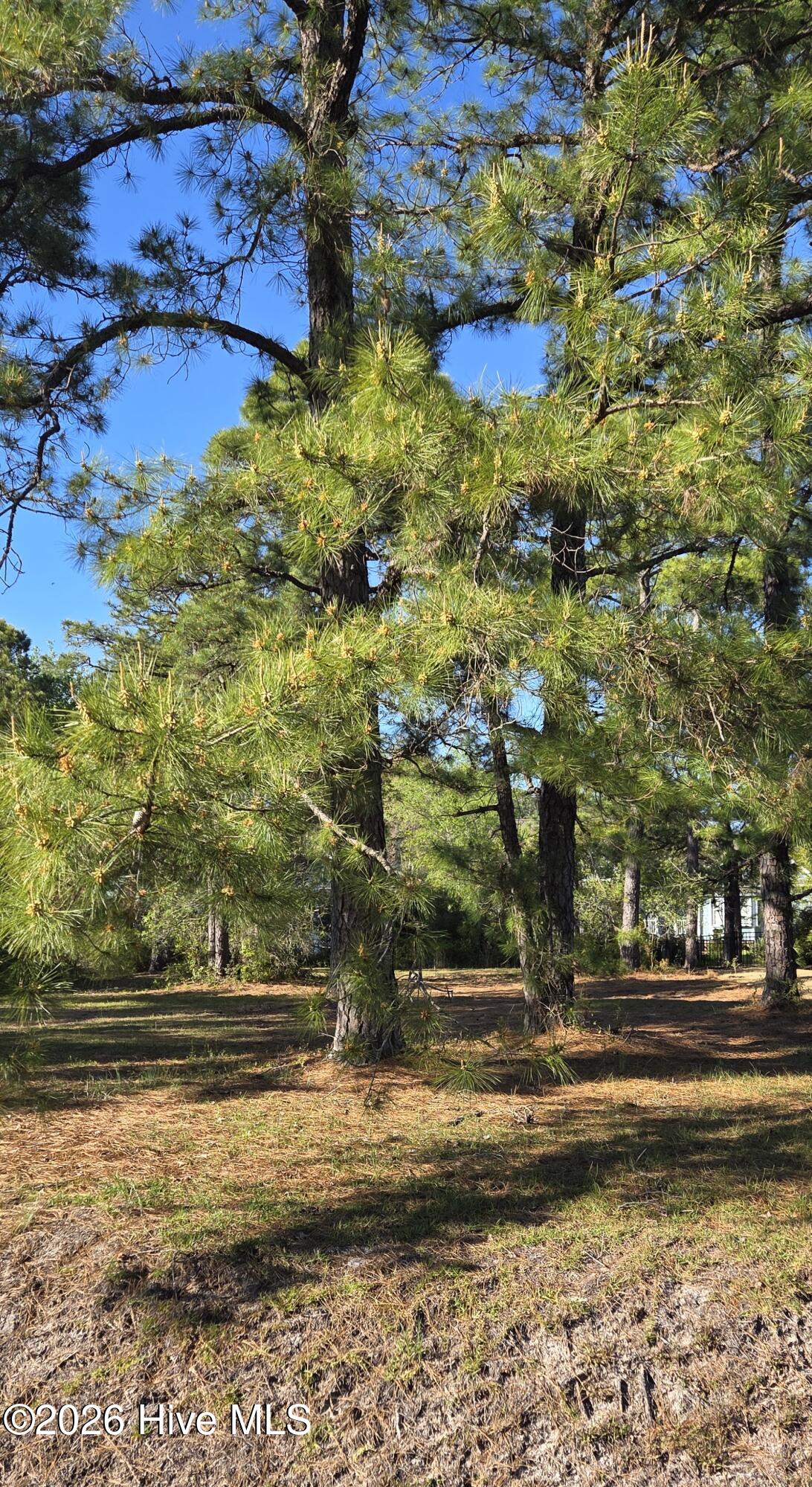 100566428 | Photo 13