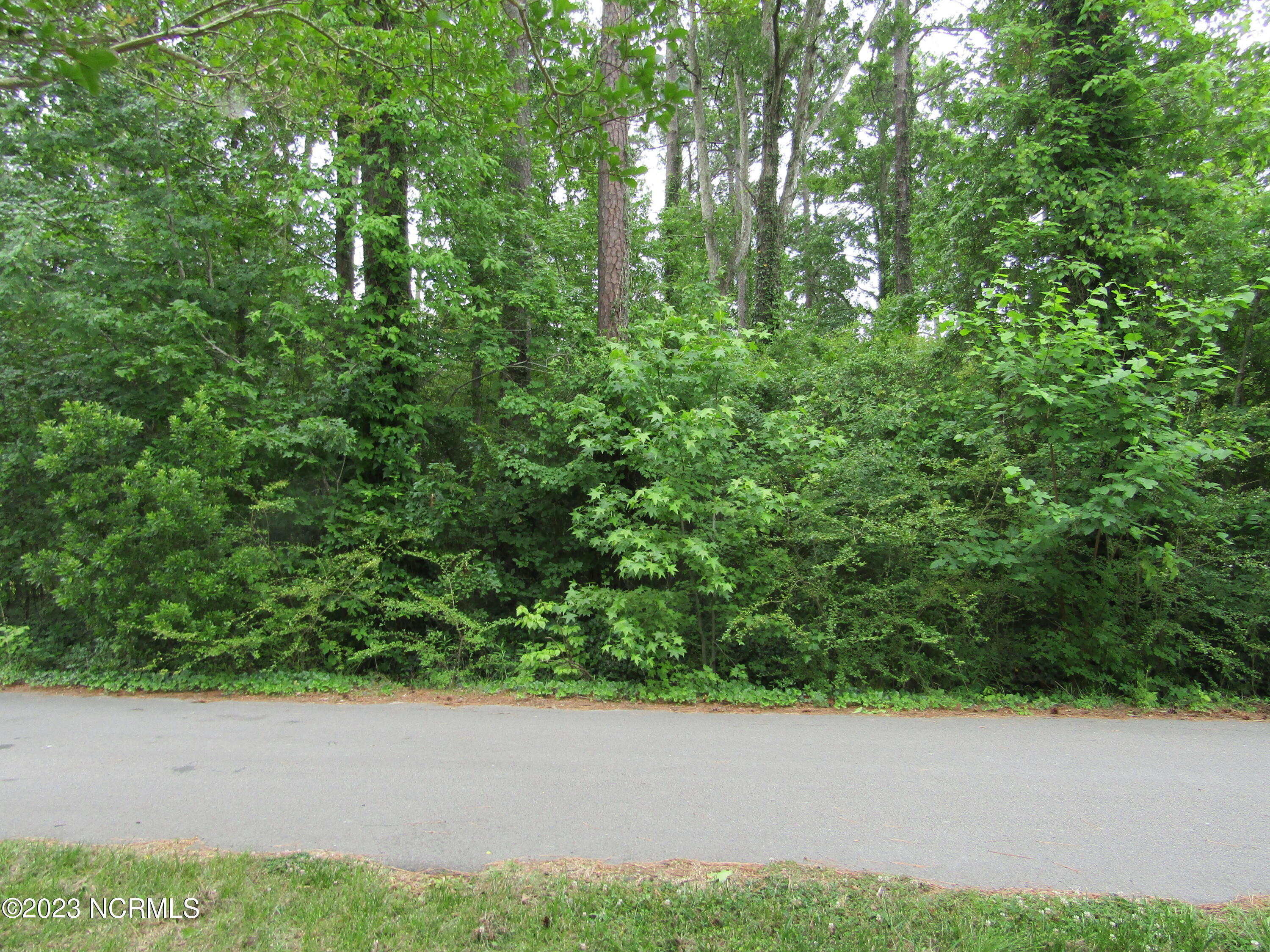 Lot 8 Quail Drive, Plymouth, NC, 27962