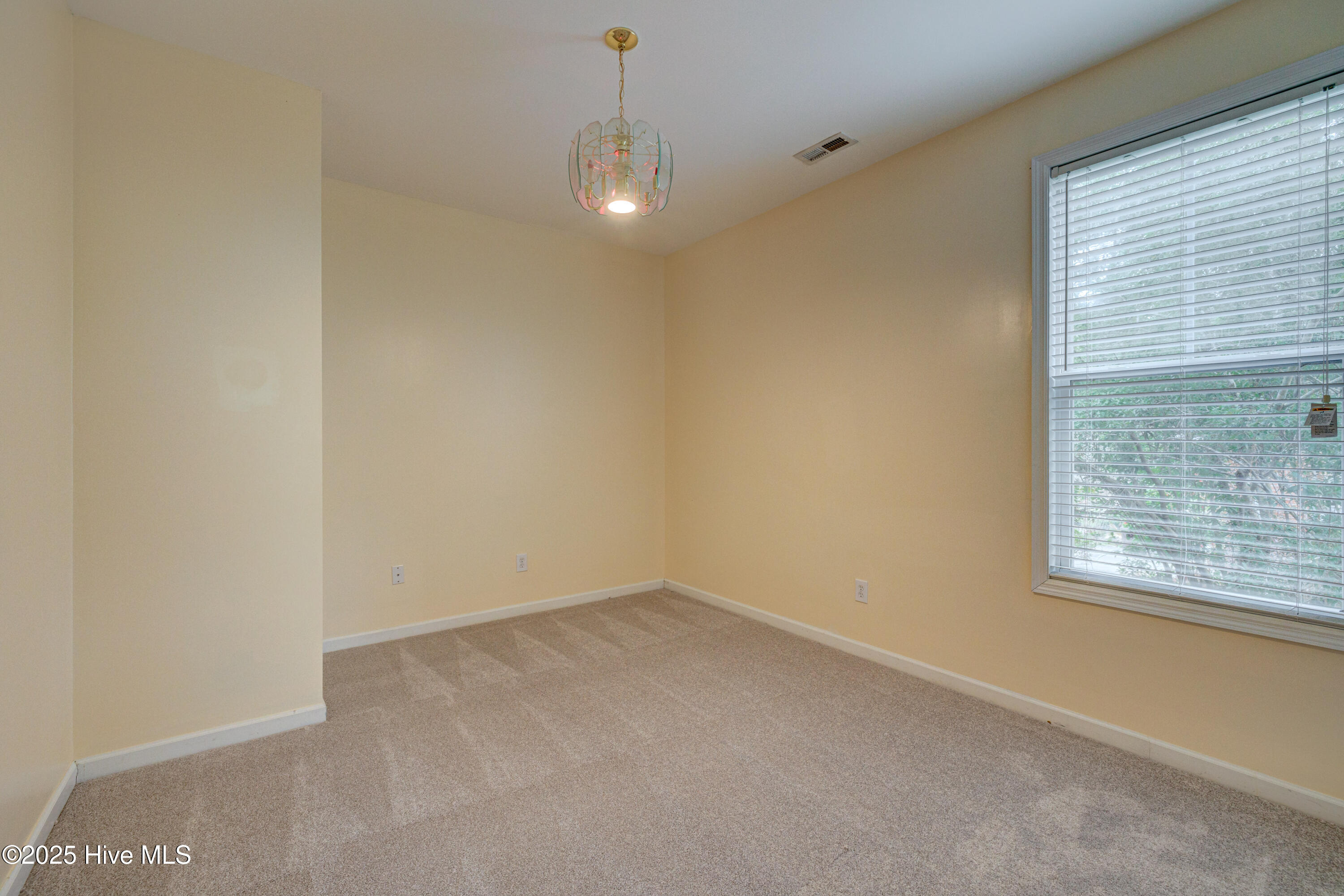 100567559 | Photo 29