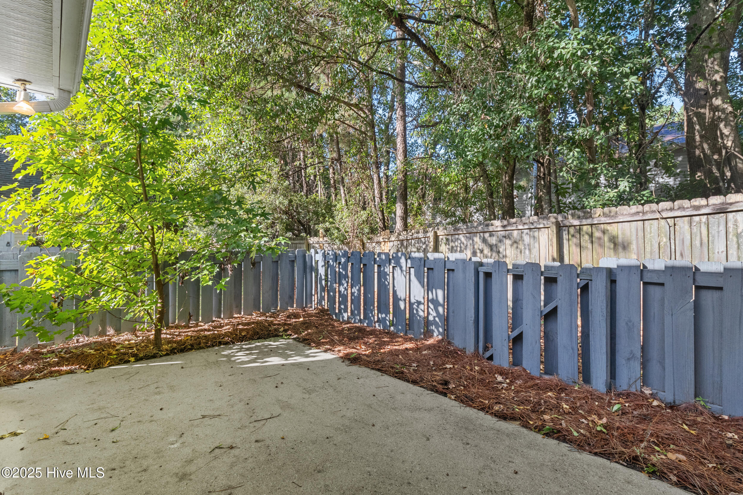 100534993 | Photo 26