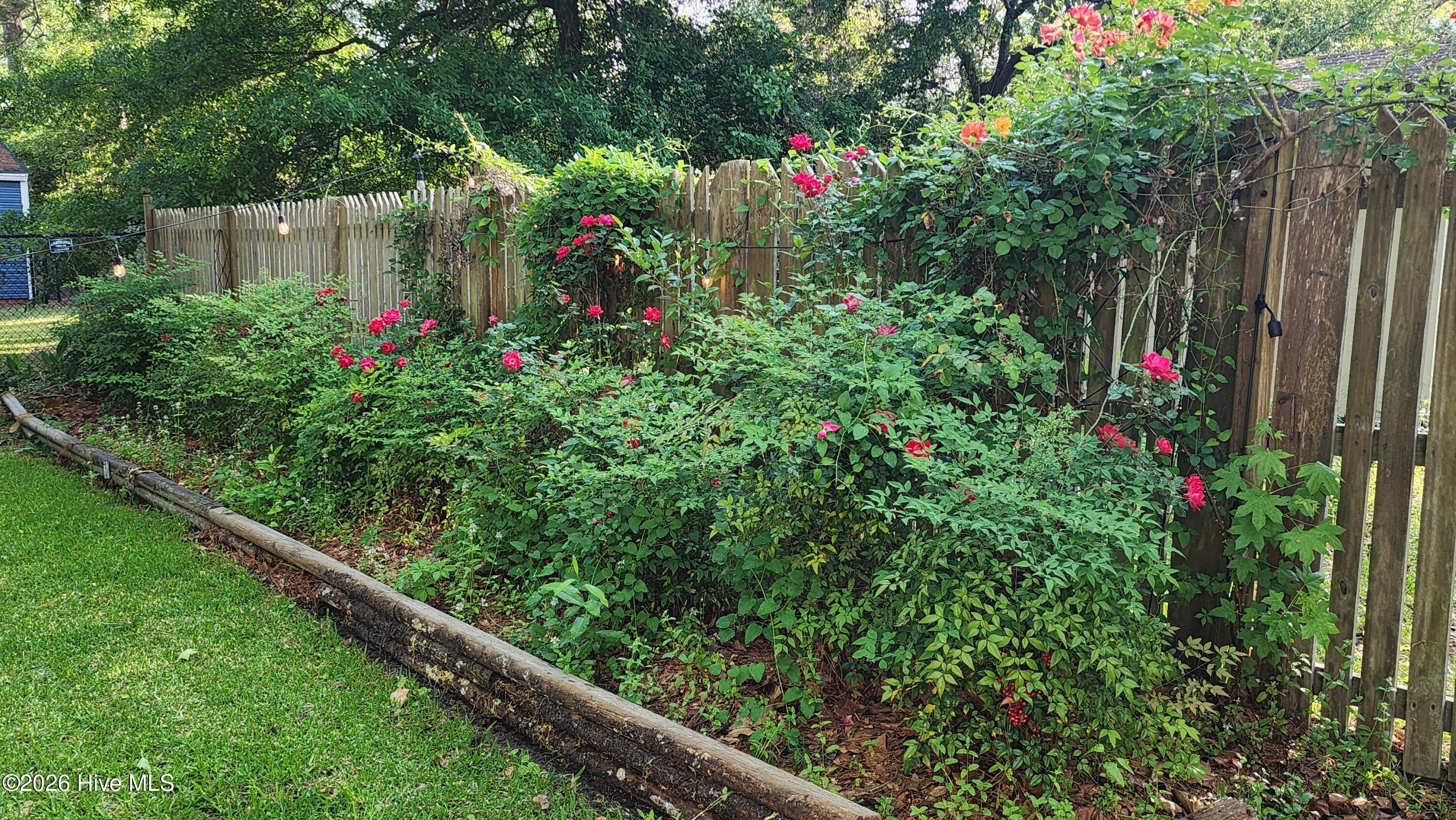 100567972 | Photo 13