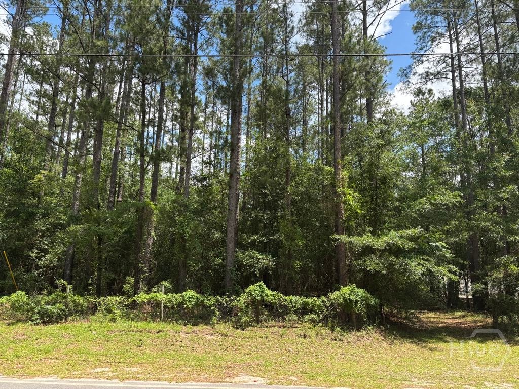 Homes for sale in Ellabell, GA | 307 Arden Loop Cir, Ellabell, GA 31308 | MLS# SA332331