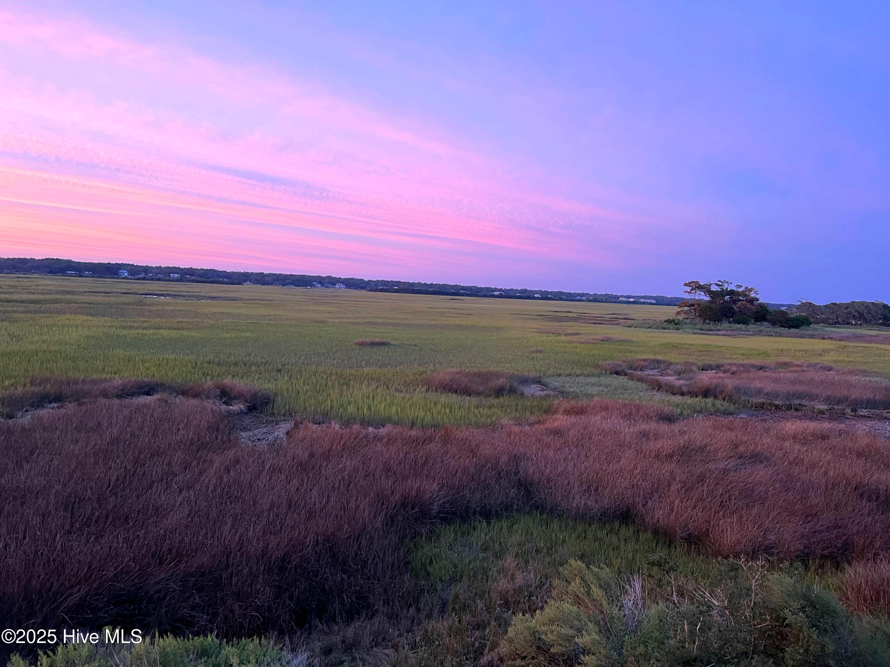 100548122 | Photo 64