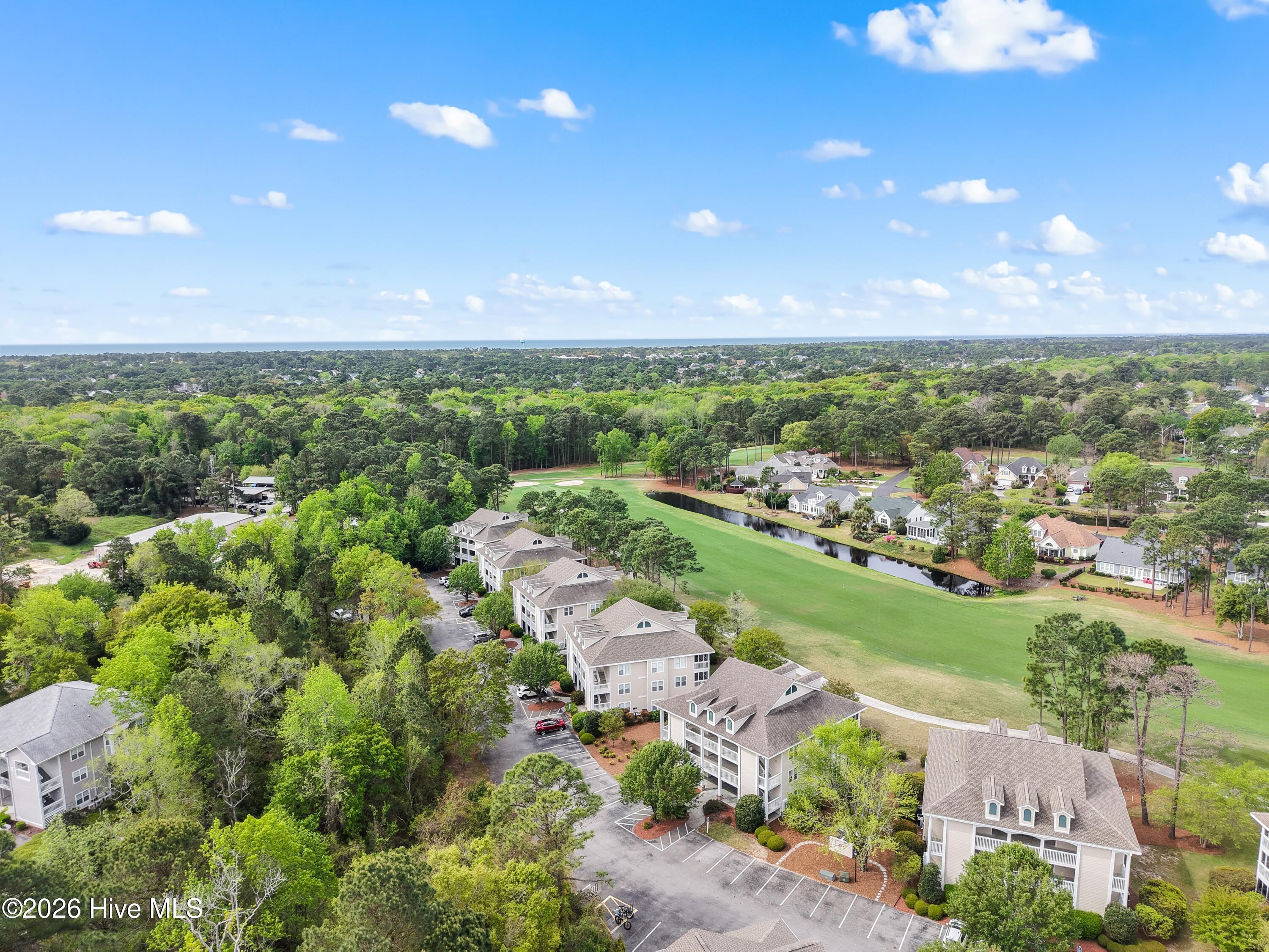 100565554 | Photo 35