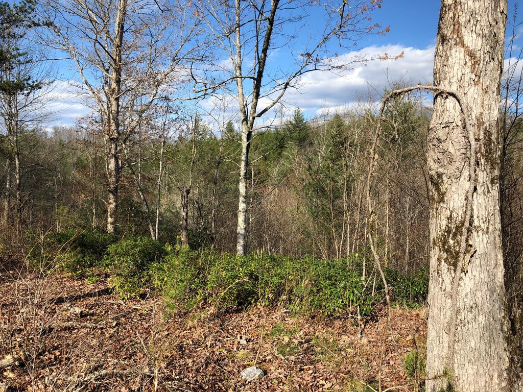 Exterior photo of Lot #94 River Mountain Road, Murphy, NC 28906. MLS: 98539613