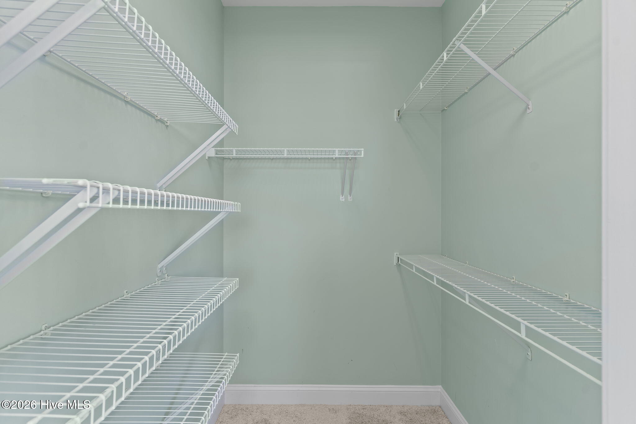 100566158 | Photo 25