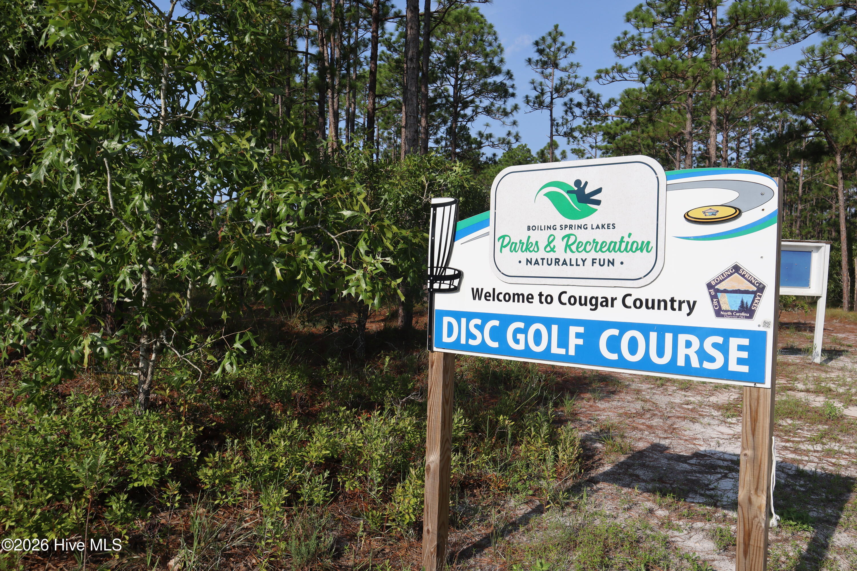 100561702 | Photo 41