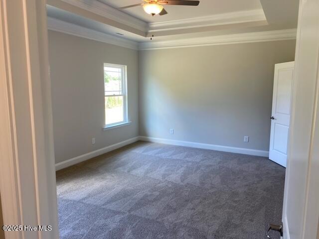 100486441 | Photo 12