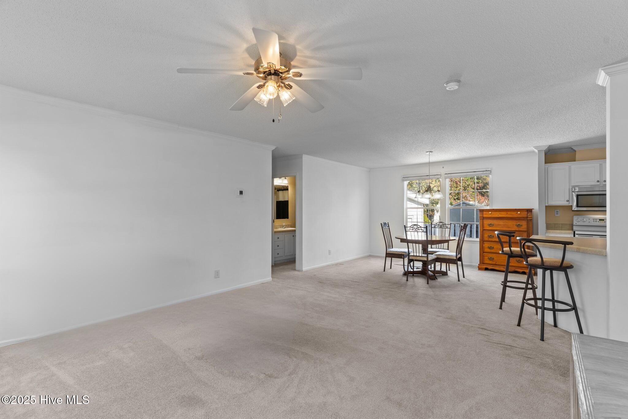 100535102 | Photo 17