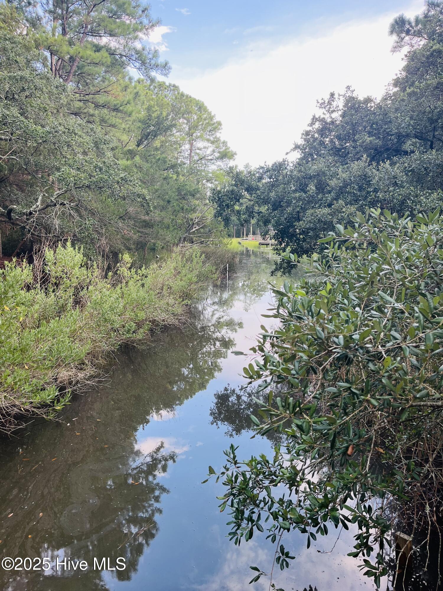 100521049 | Photo 48